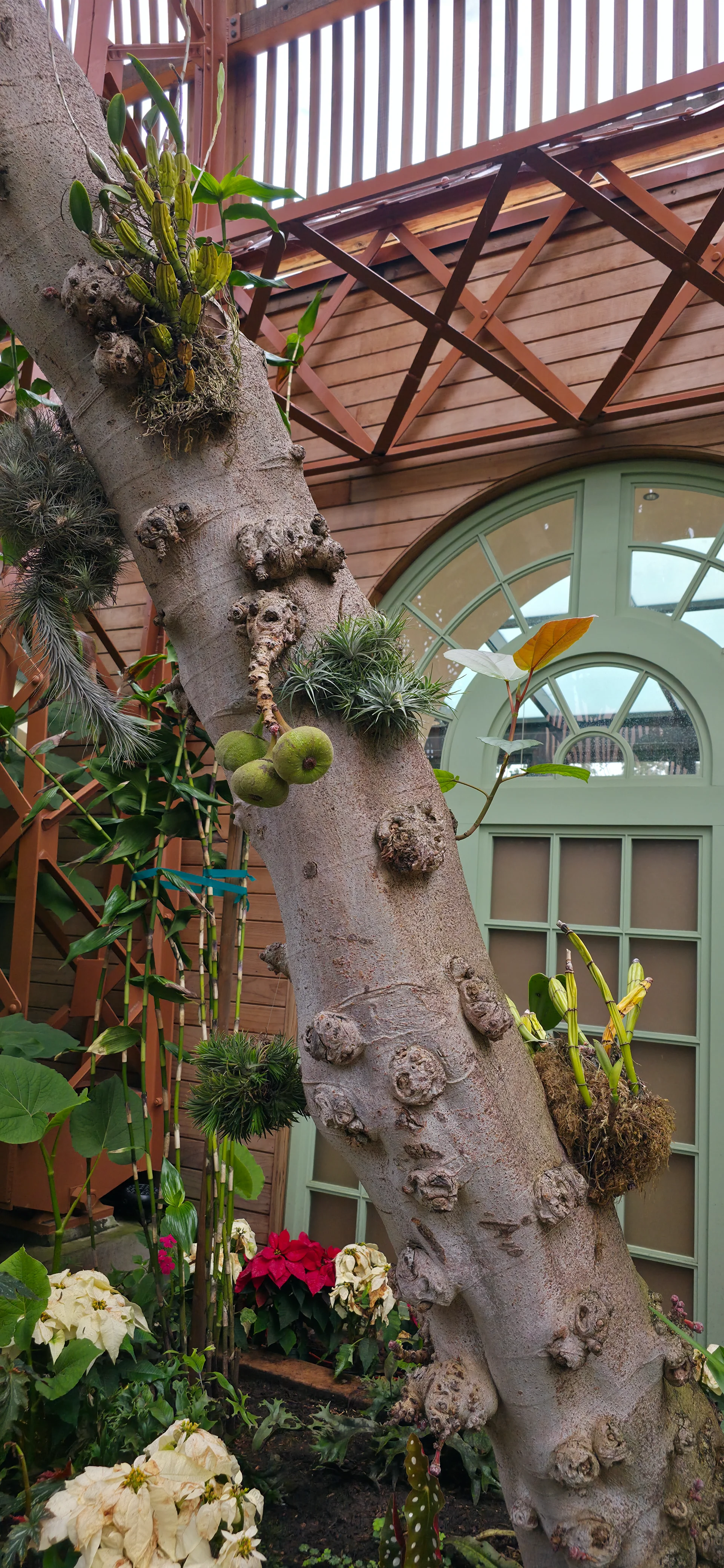 Botanical Building