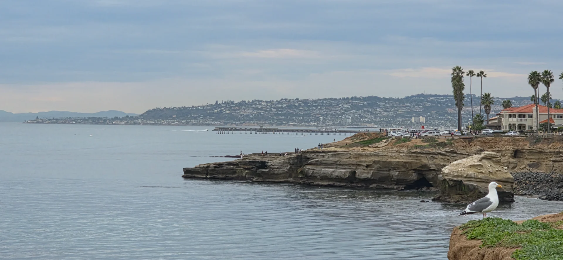 Lookout on Sunset Cliffs