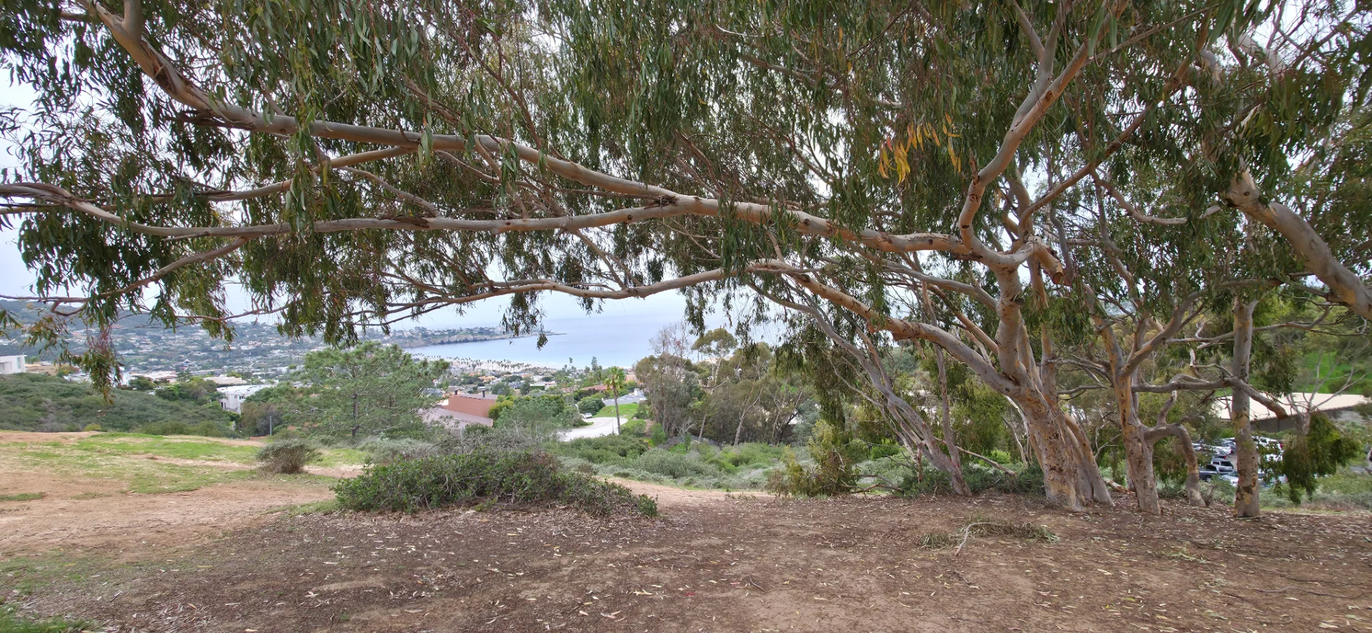Secret RIP La Jolla Swing