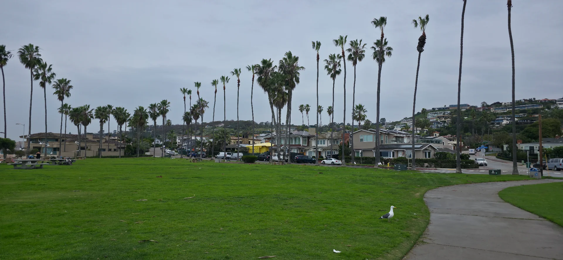 La Jolla Shores