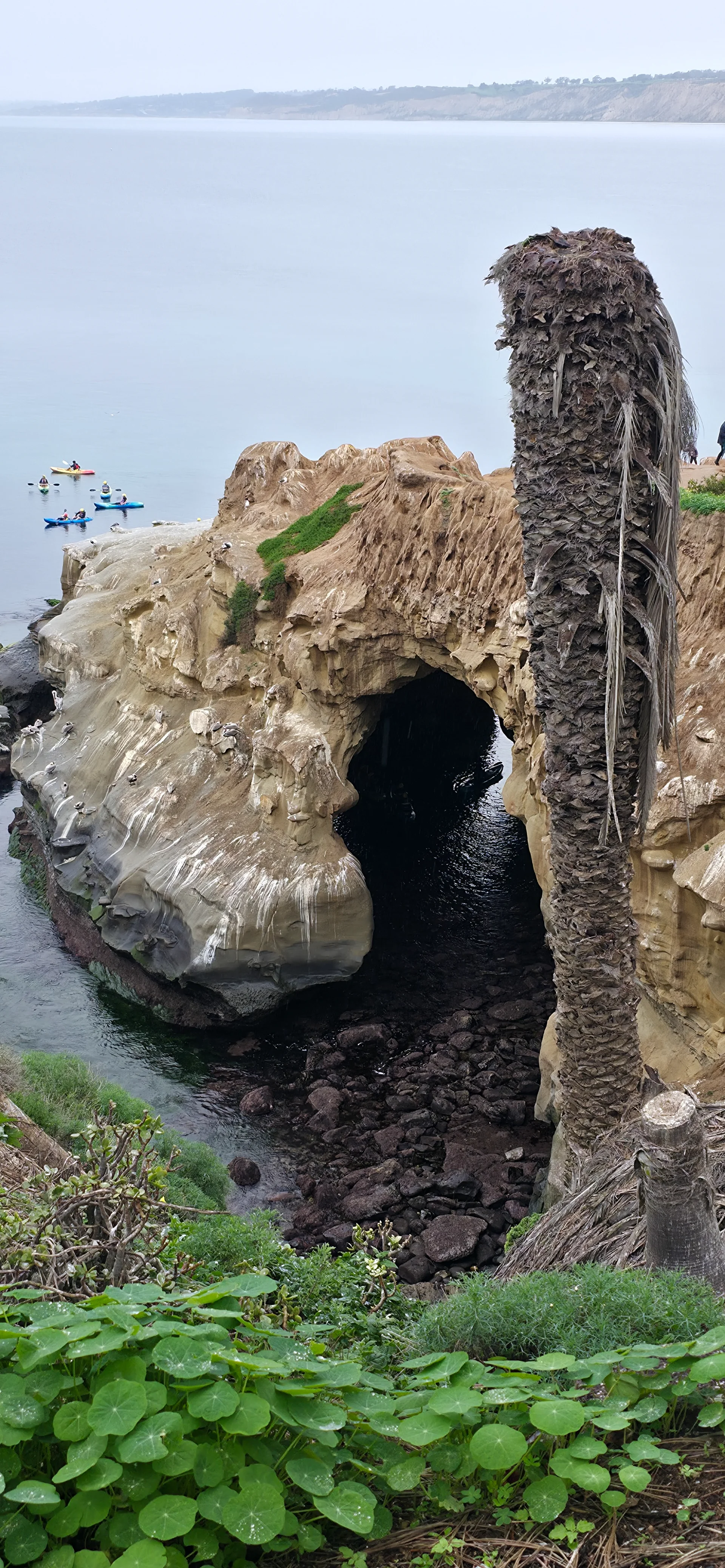 Coast Walk Trail