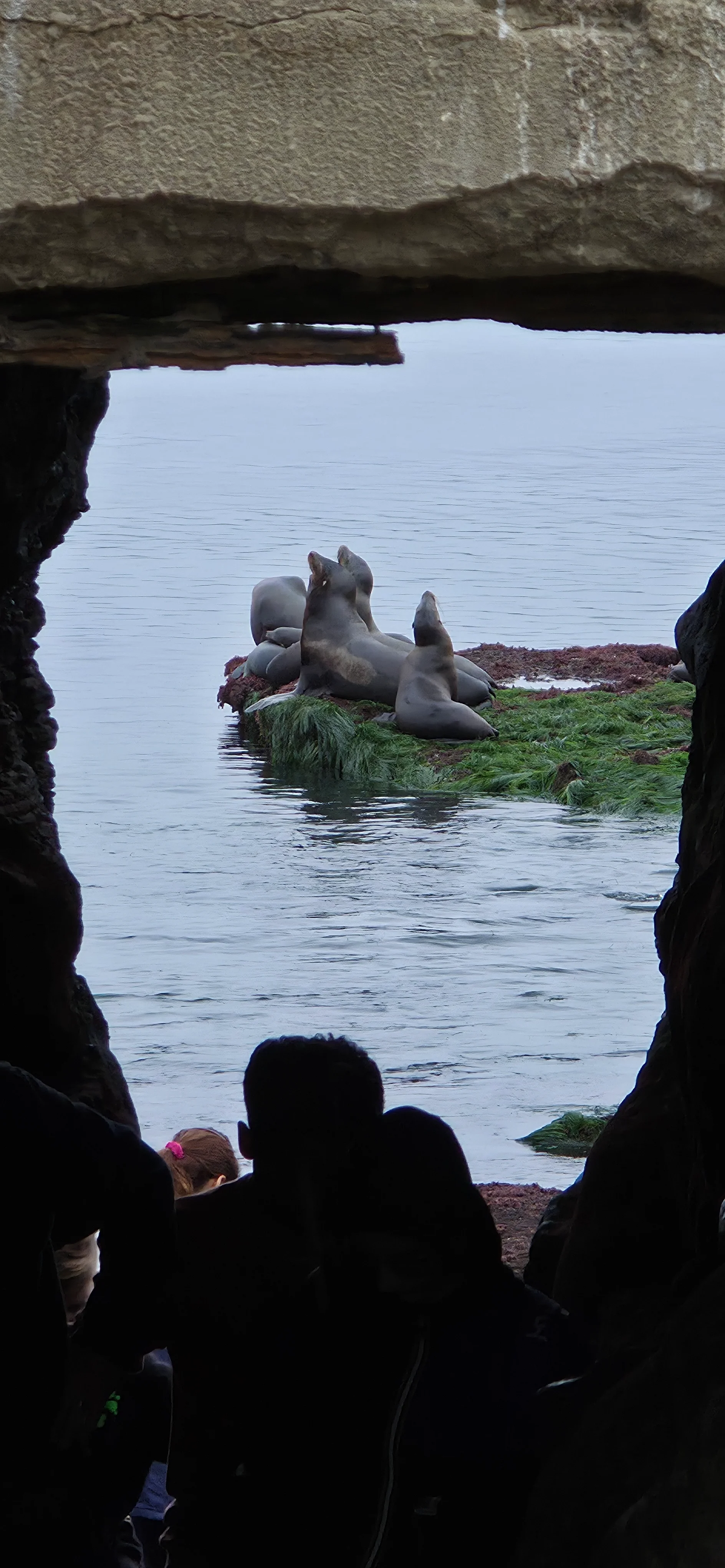 La Jolla Cove & Wildlife Refuge