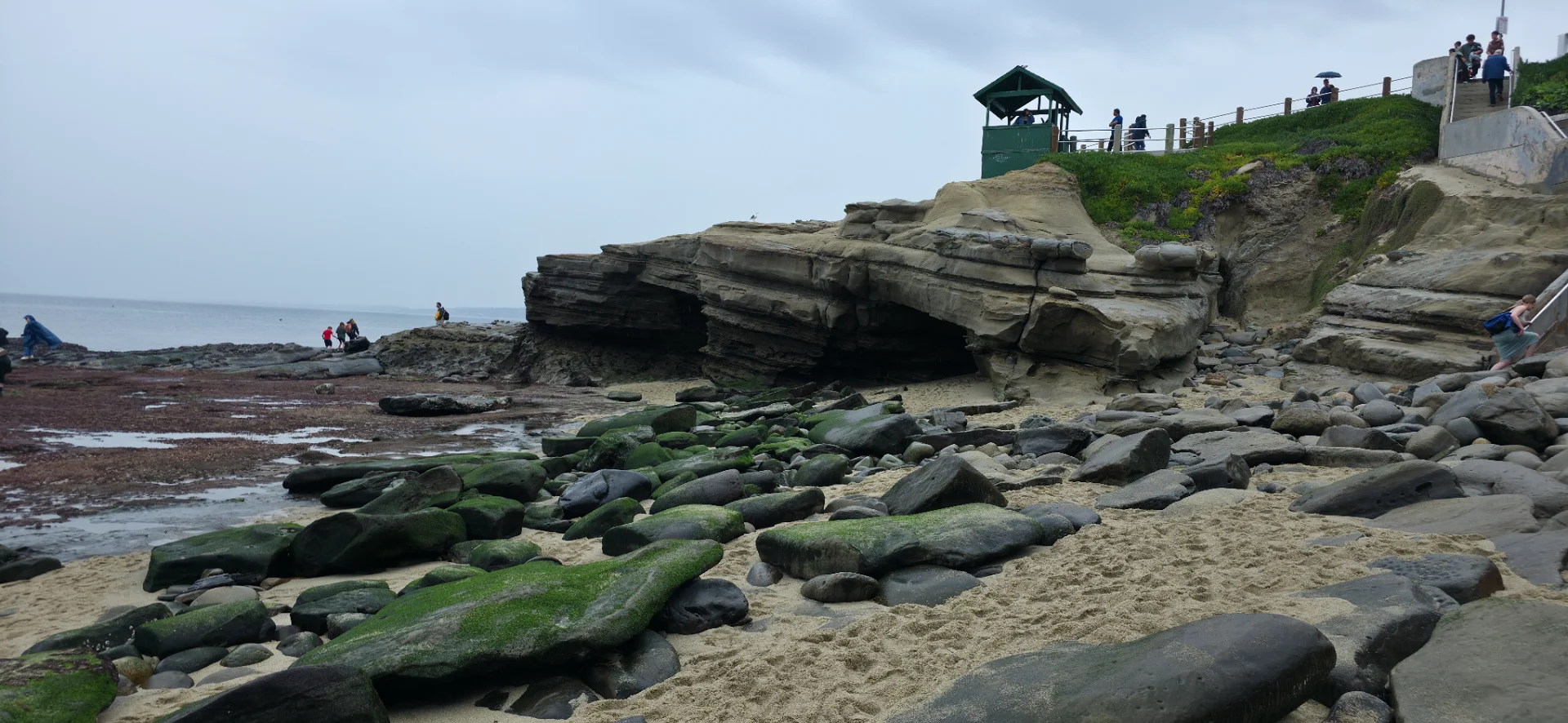 La Jolla Cove & Wildlife Refuge