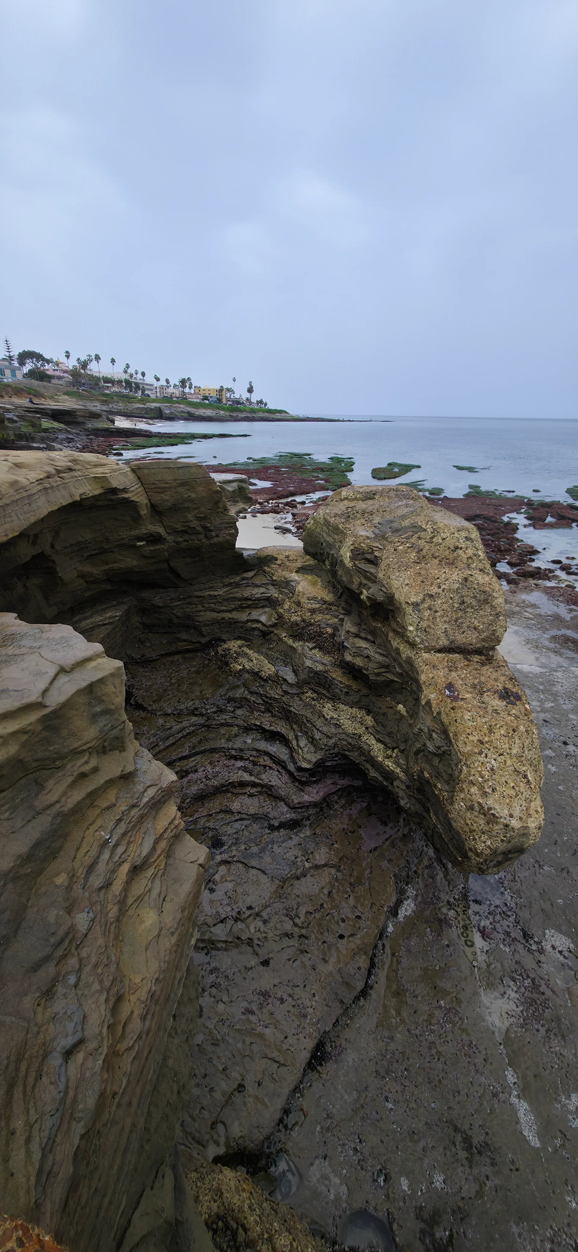 La Jolla Cove & Wildlife Refuge