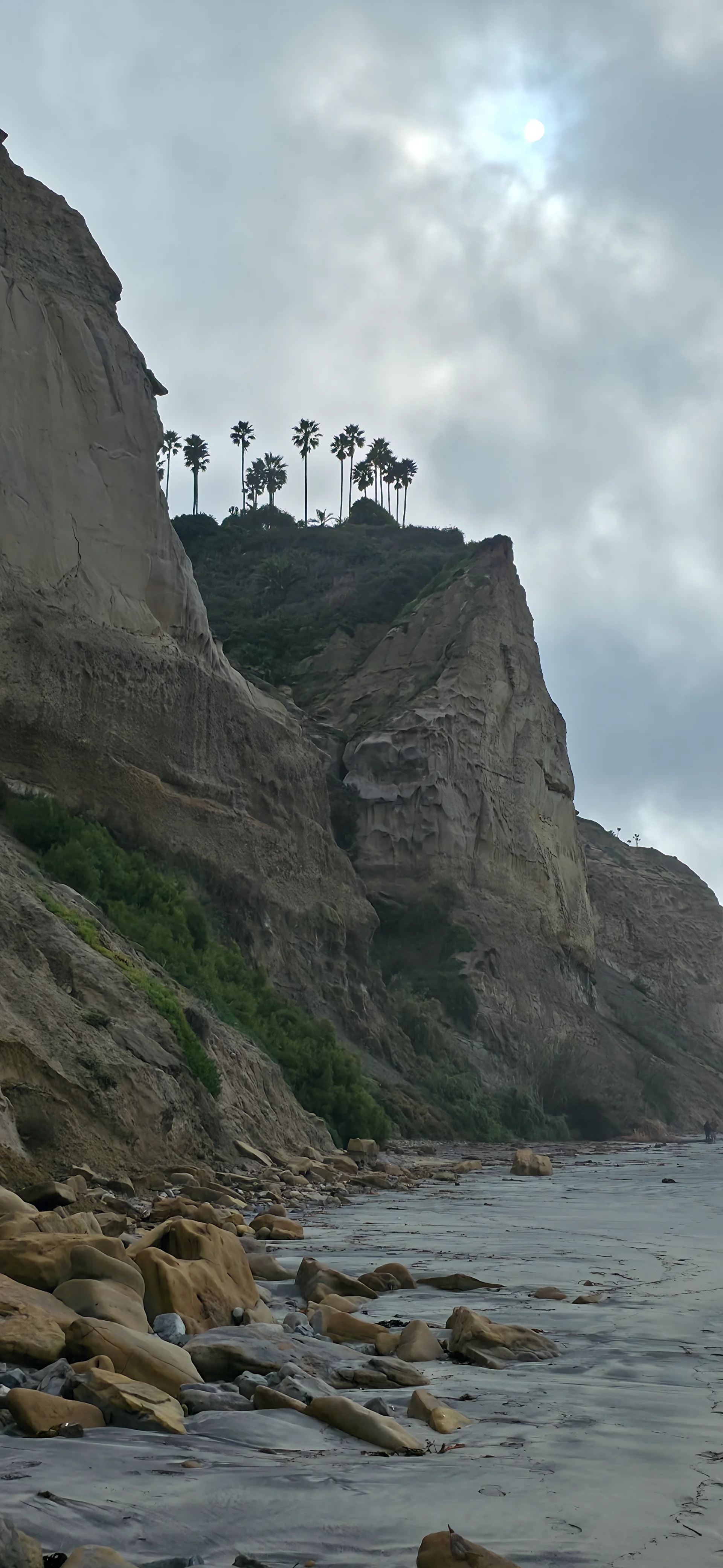 Black's Beach