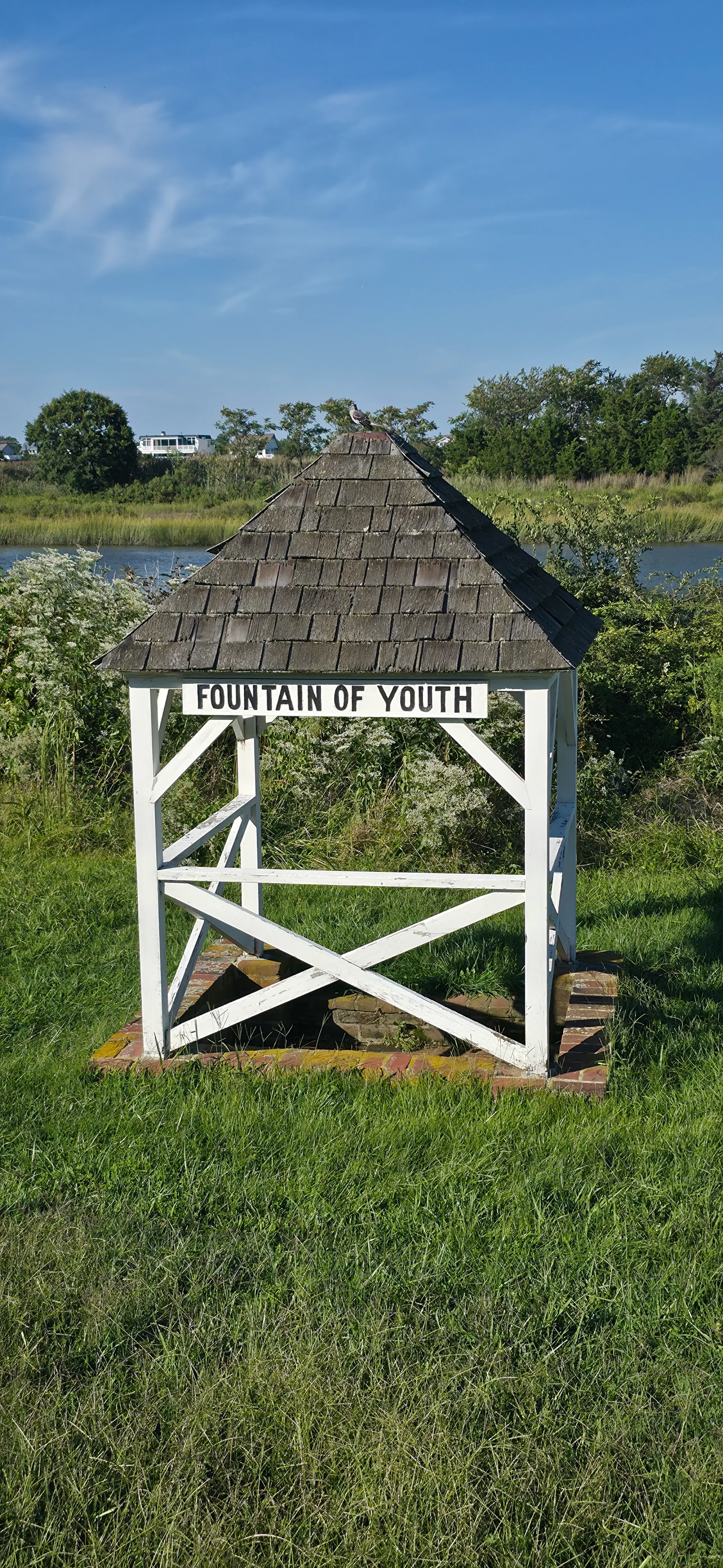 Fountain of Youth