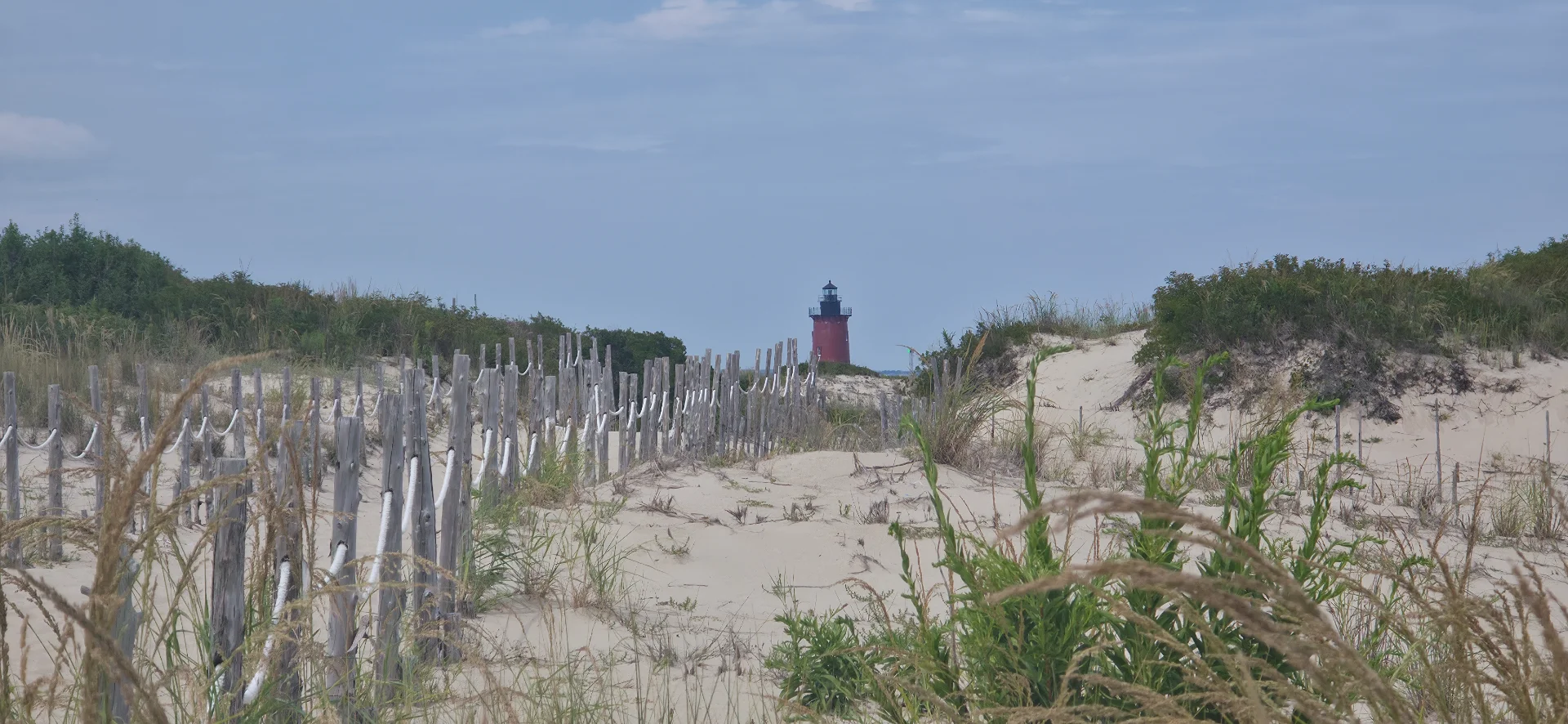 Cape Henlopen State Park Beach