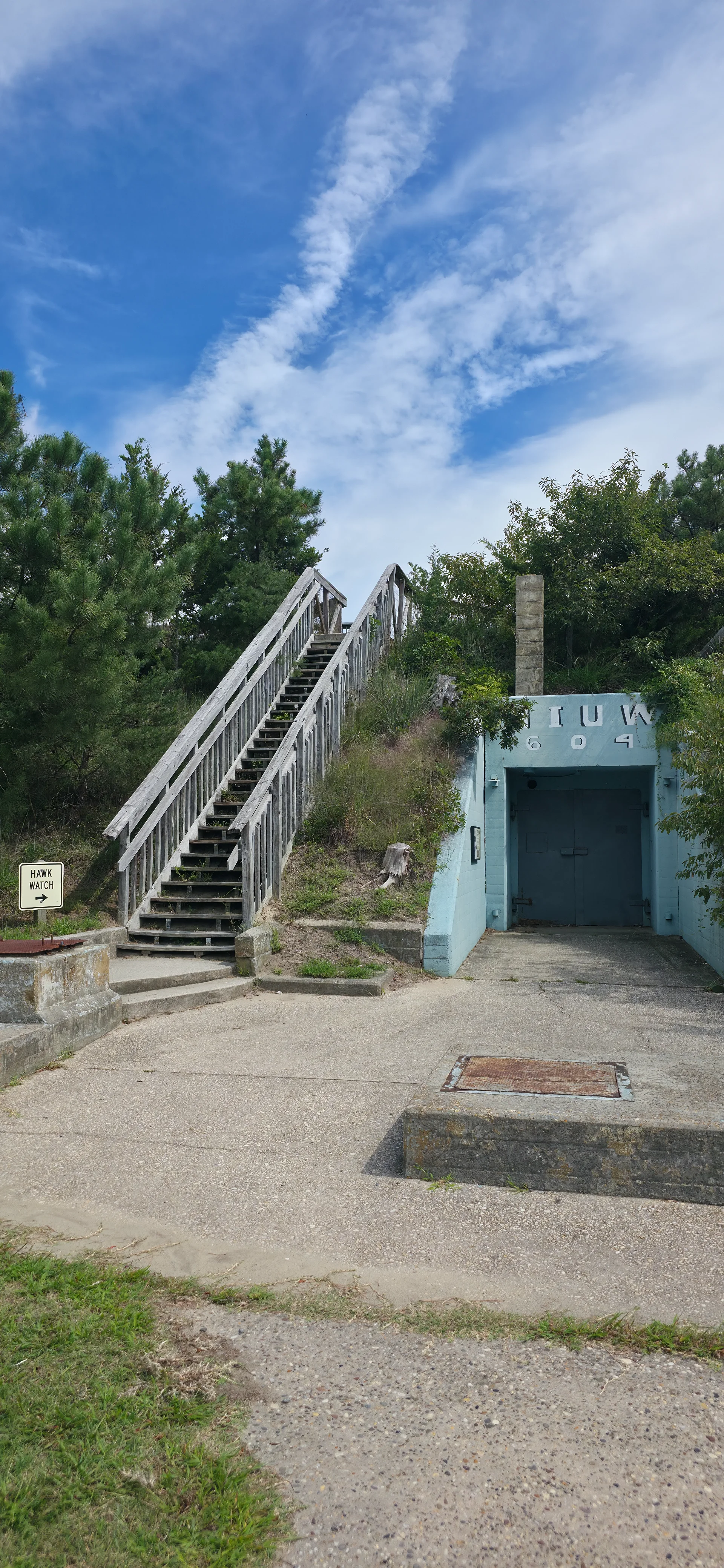 Cape Henlopen Hawk Watch