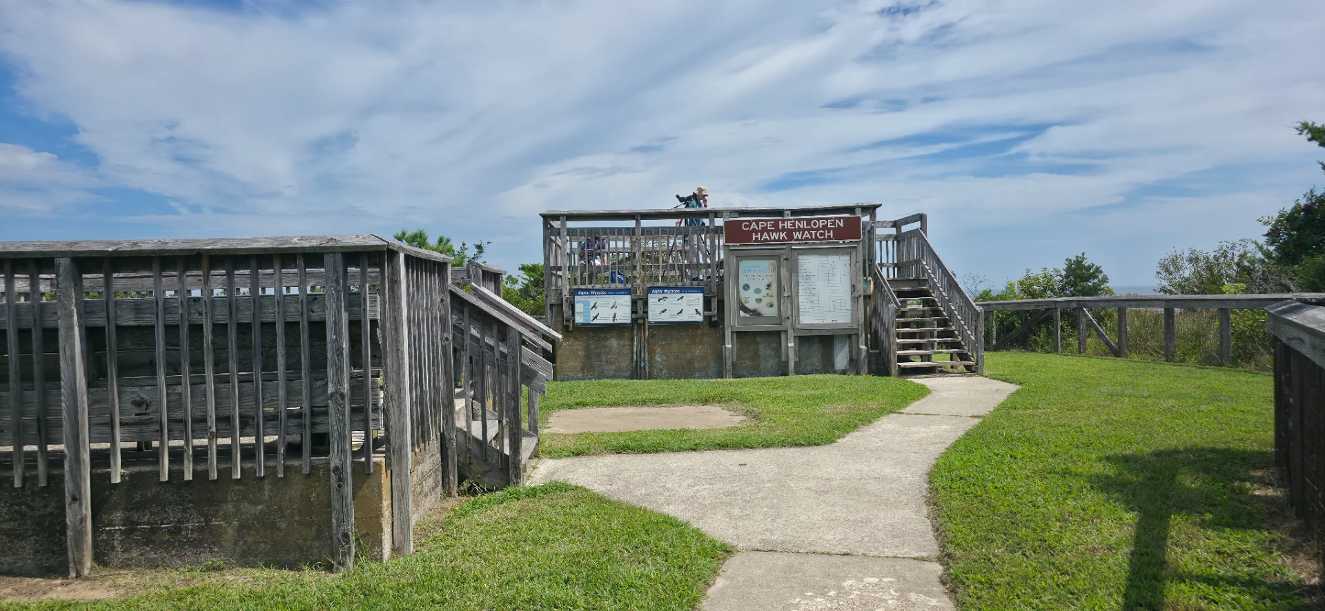 Cape Henlopen Hawk Watch