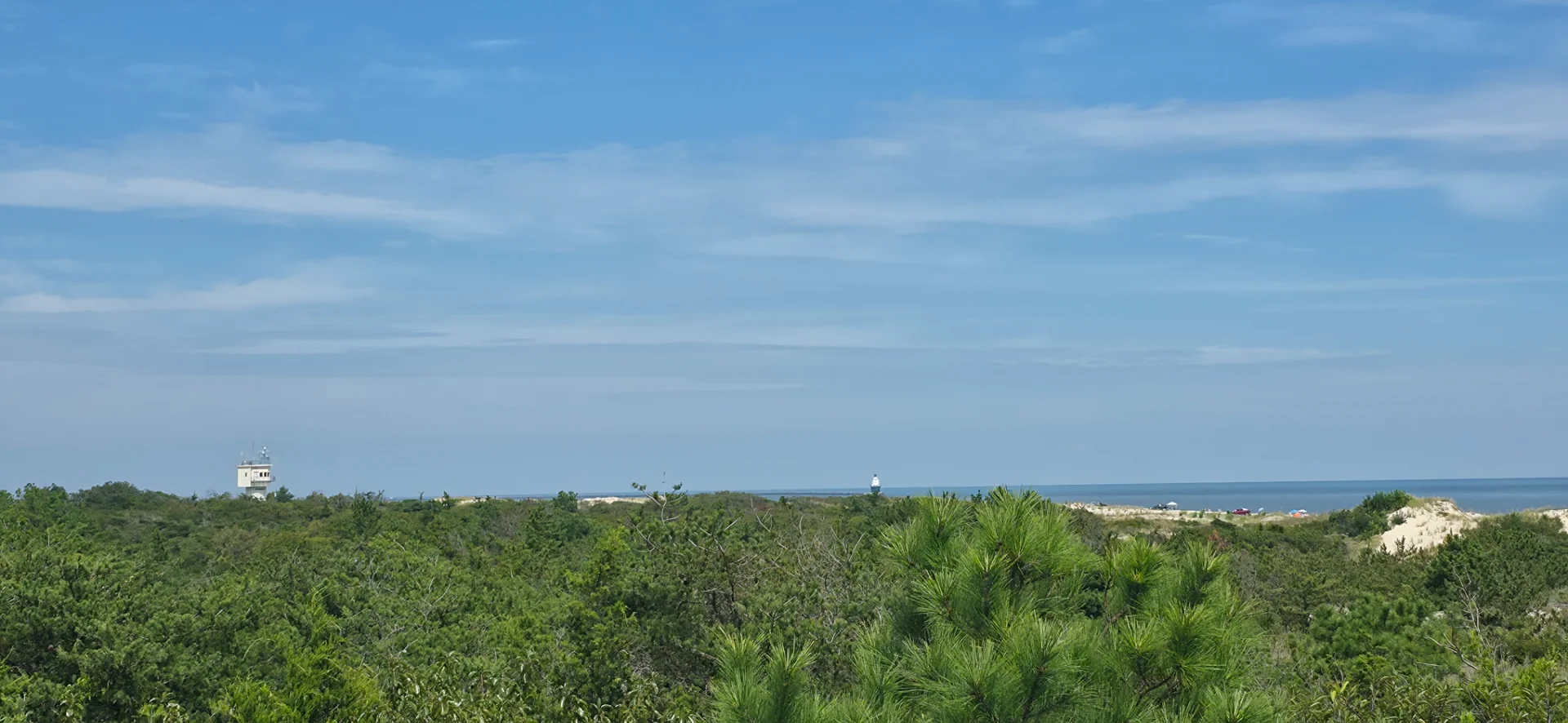 Cape Henlopen Hawk Watch