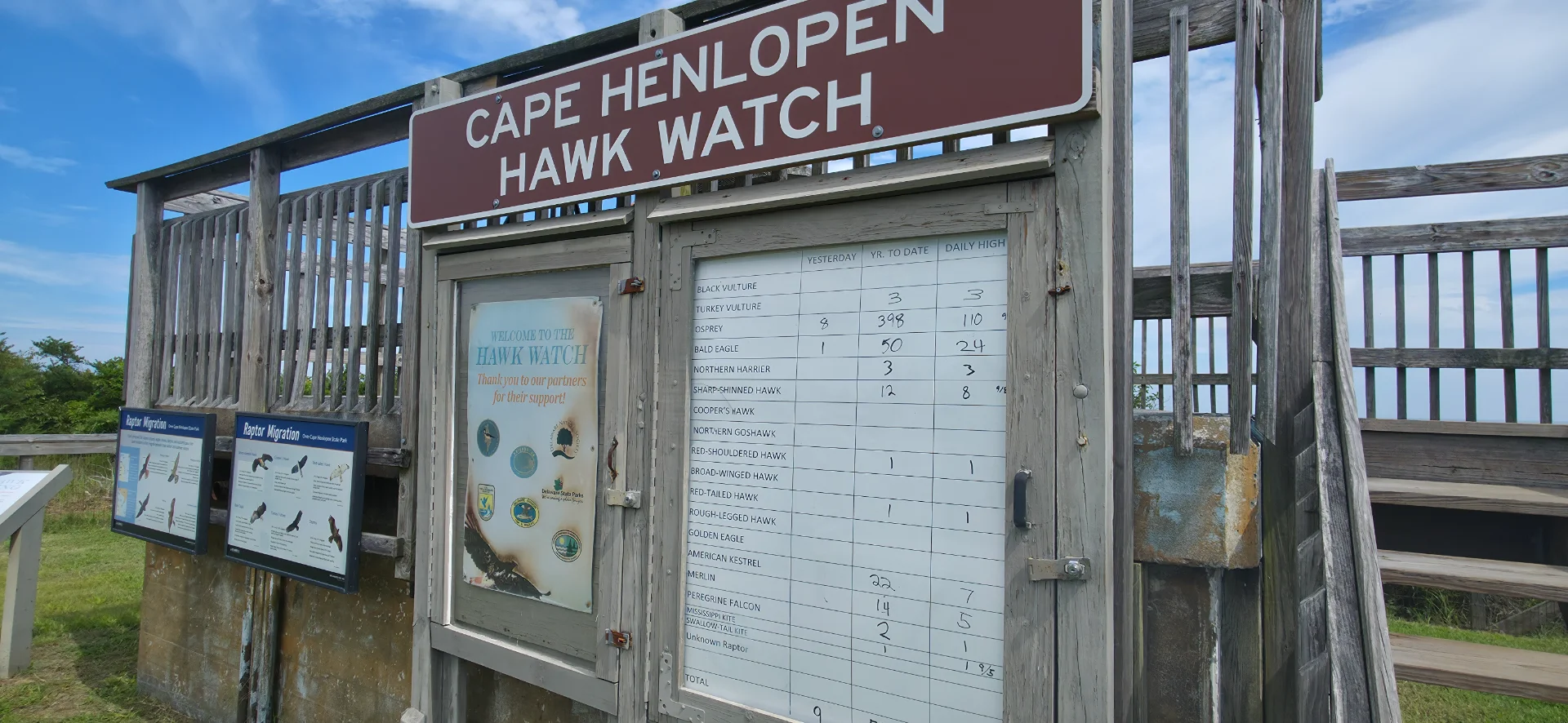 Cape Henlopen Hawk Watch