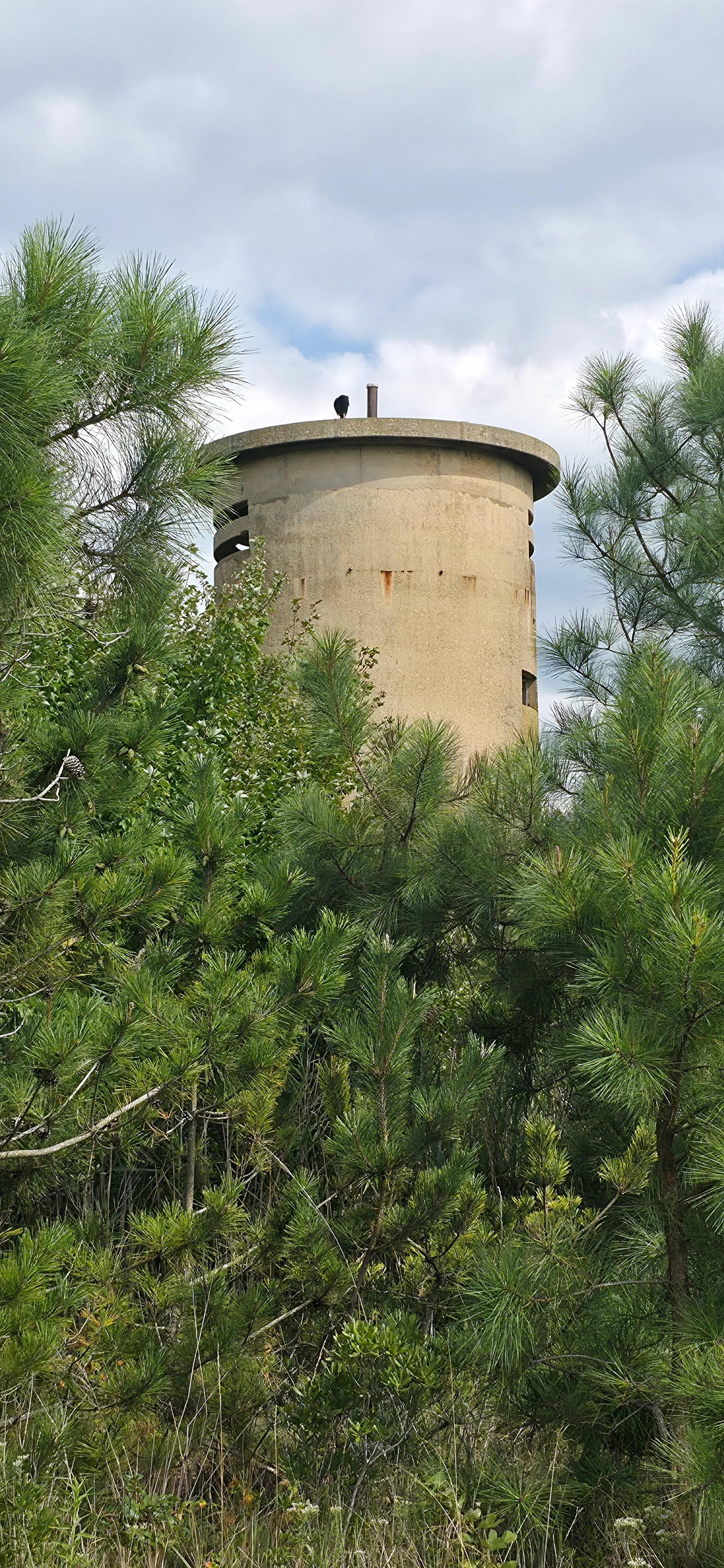 WWII Observation Tower #1 - South Bethany Beach