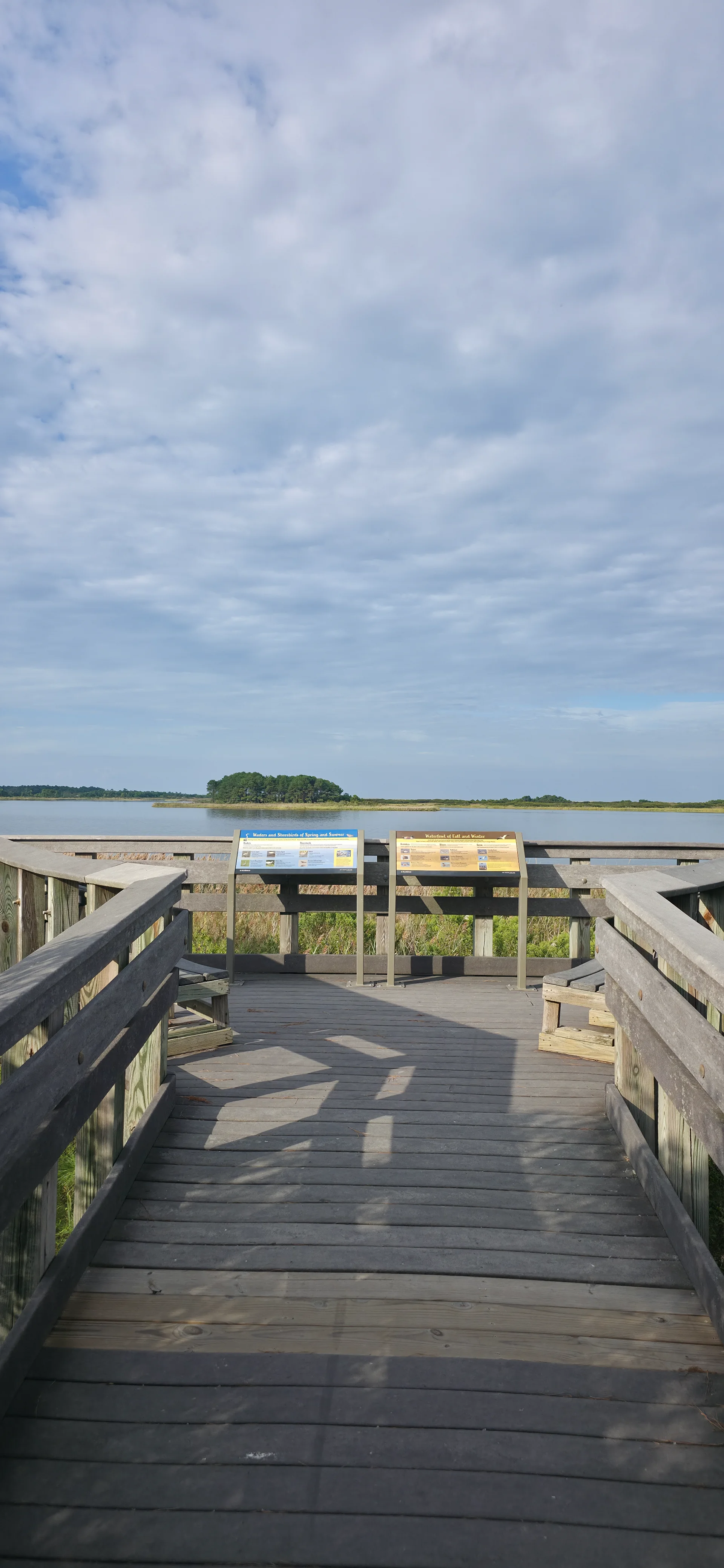 Gordons Pond Observation Deck