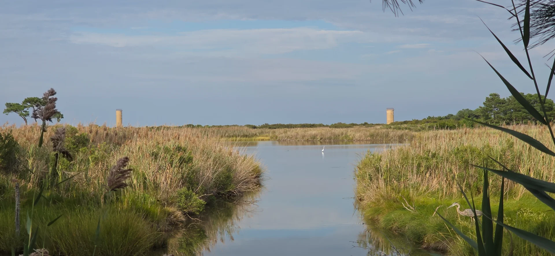 Gordons Pond Observation Deck