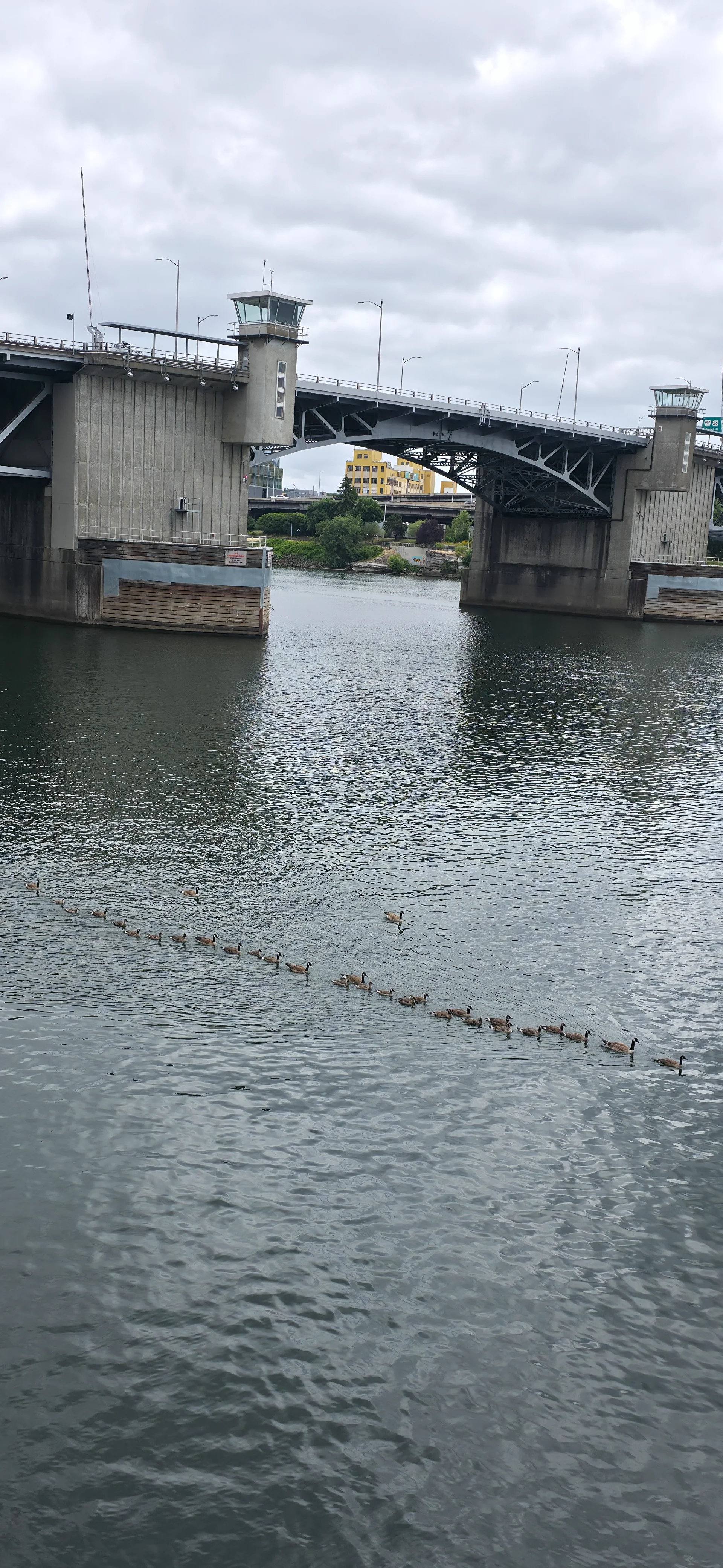 Waterfront Park Trail