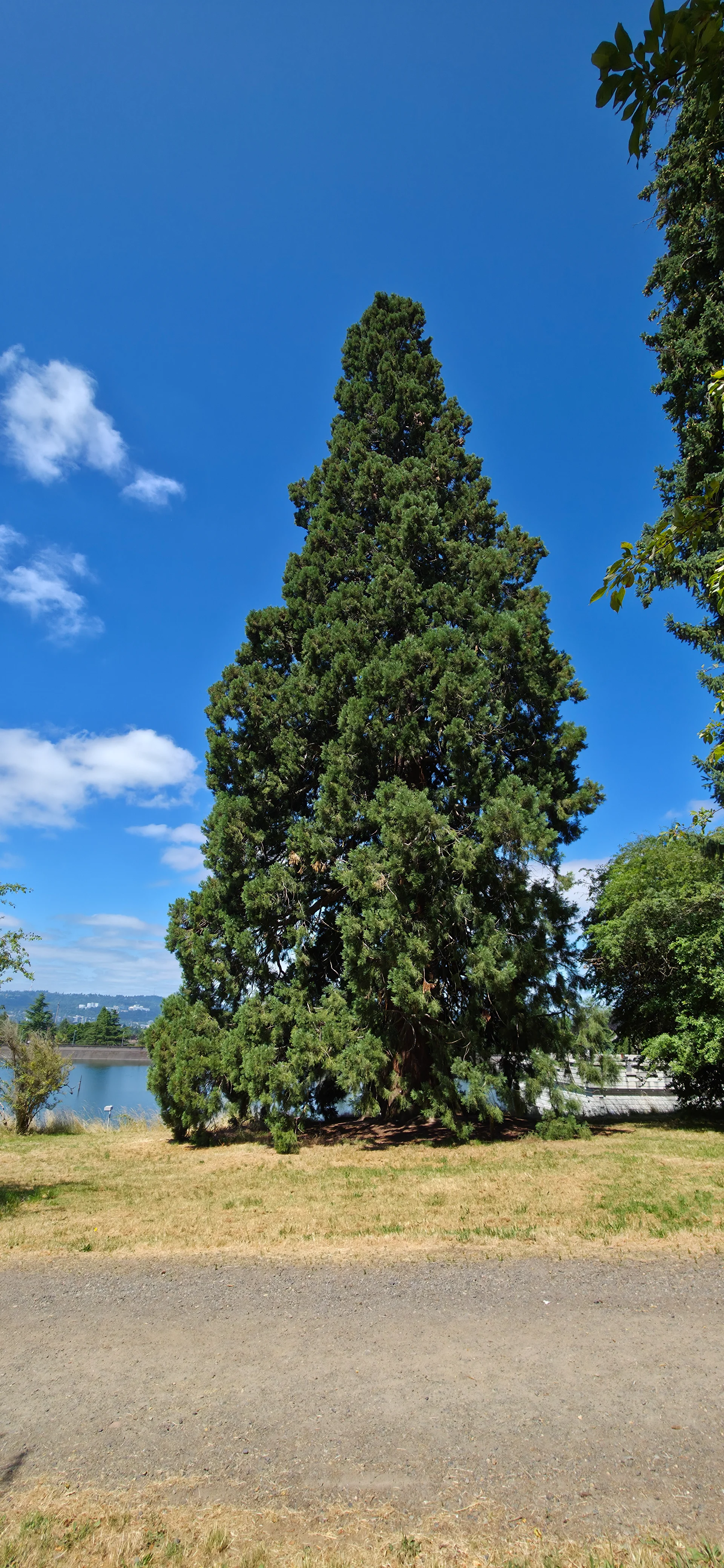 Mt. Tabor Park