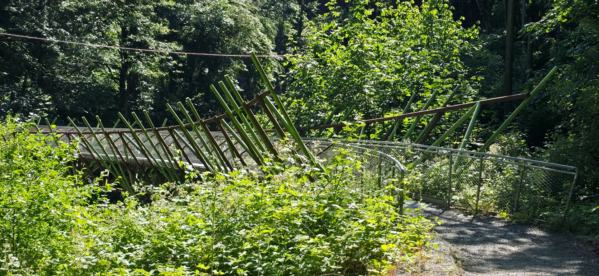 Barbara Walker Crossing