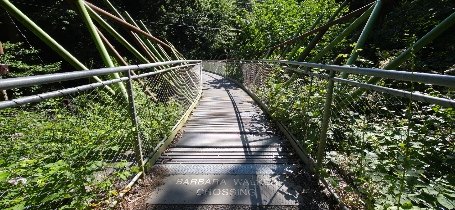 Barbara Walker Crossing