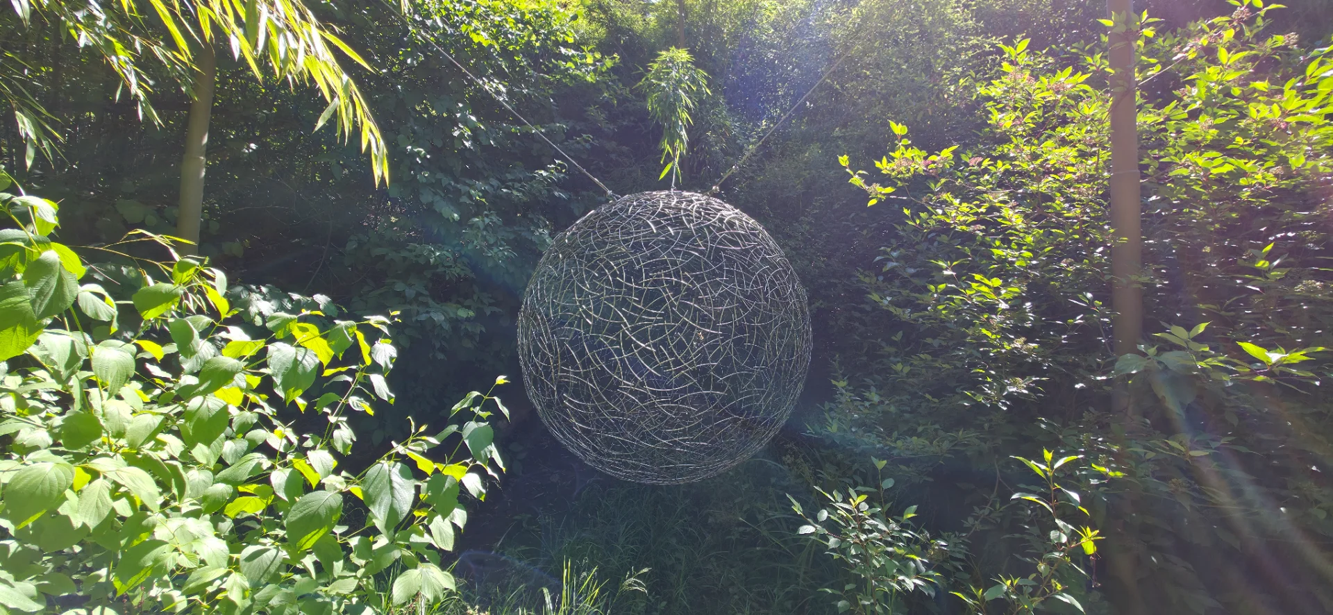 Hoyt Arboretum