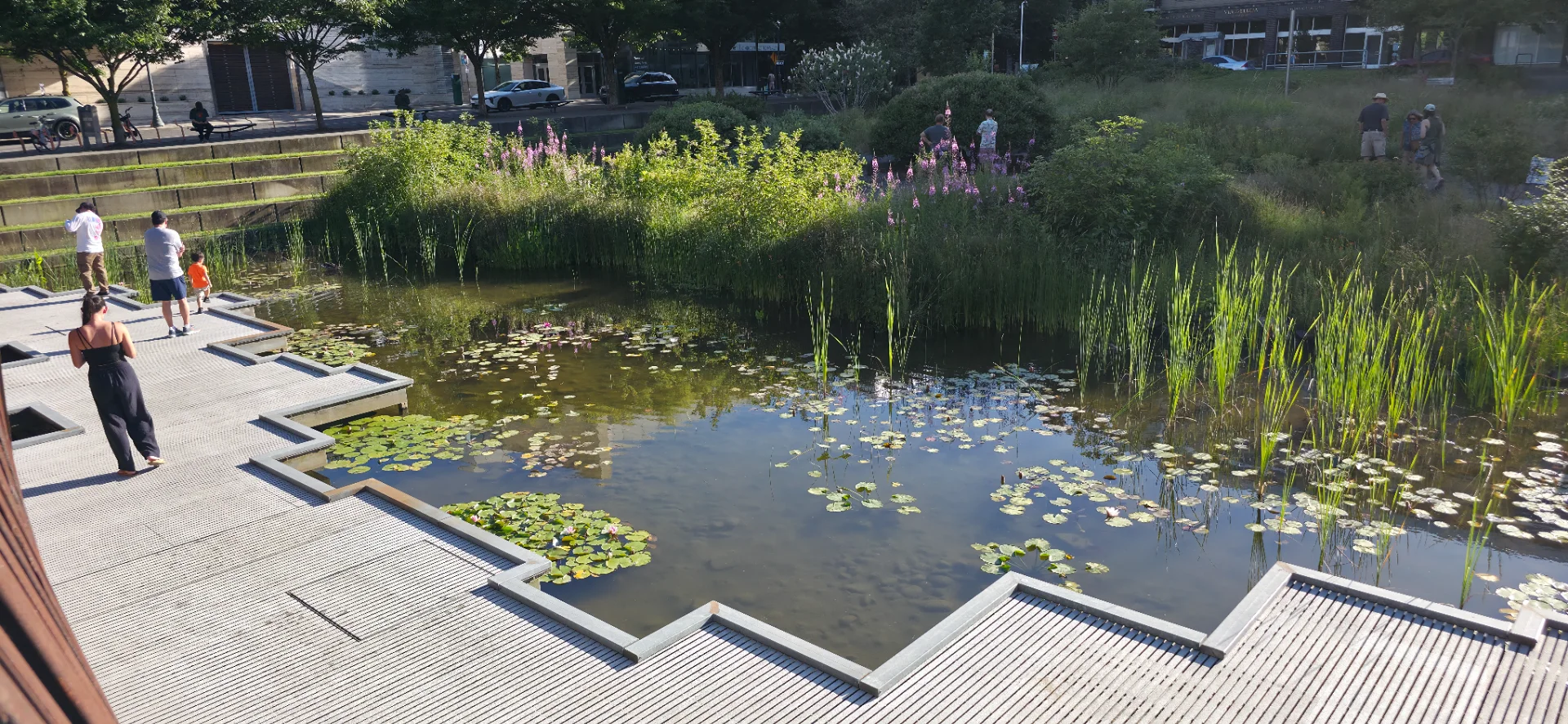 Tanner Springs Park