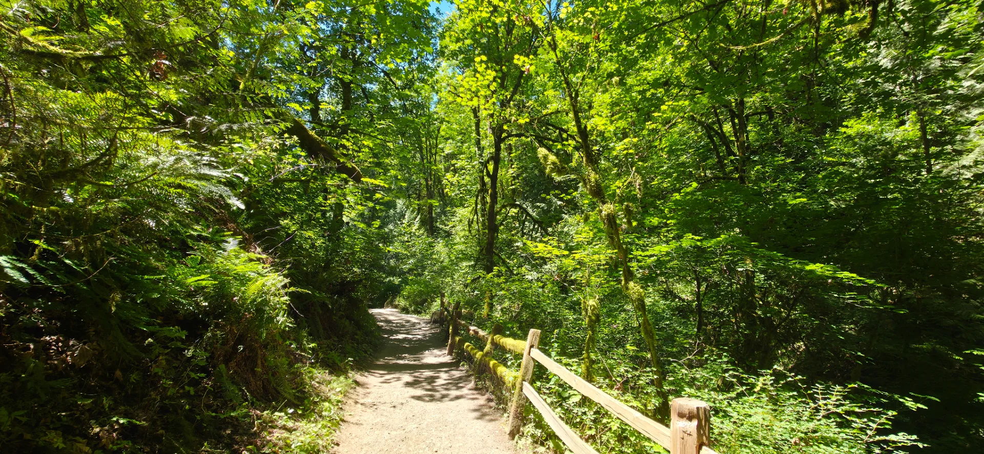 Lower Macleay Trail