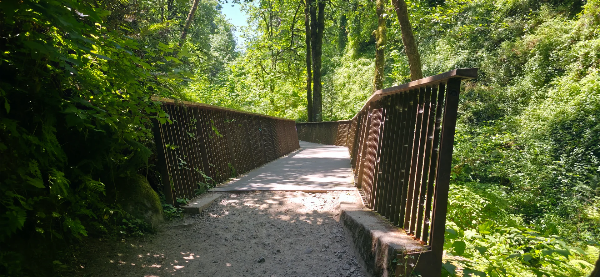 Lower Macleay Trail