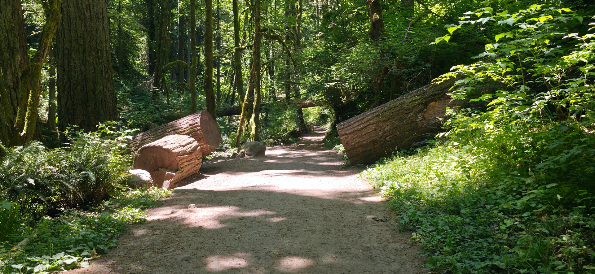 Lower Macleay Trail