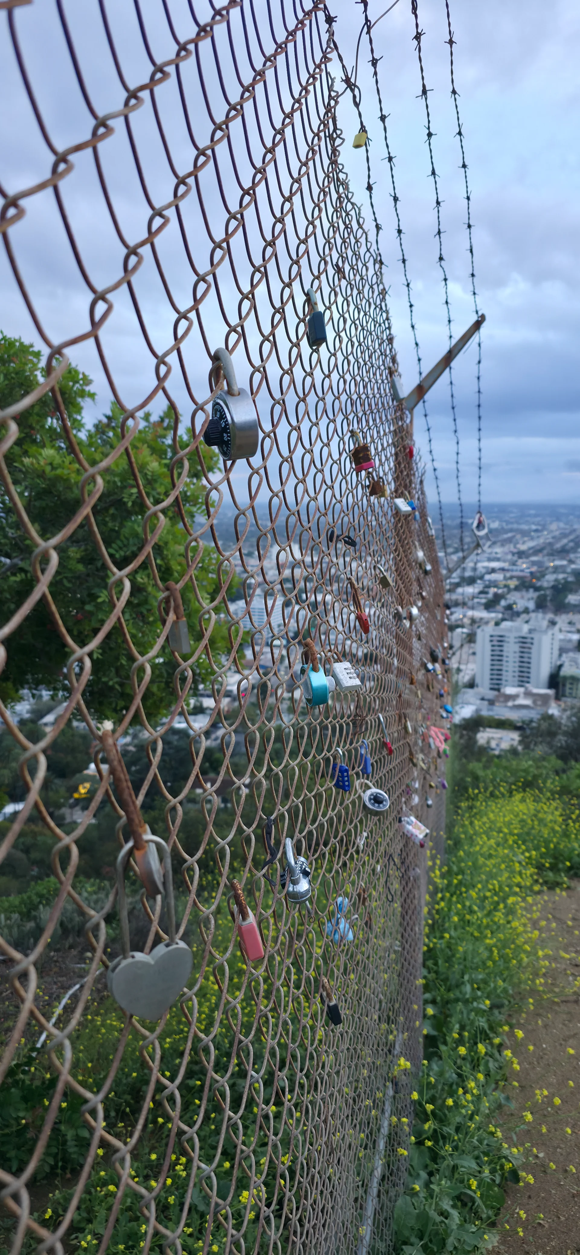 Runyon Canyon Park