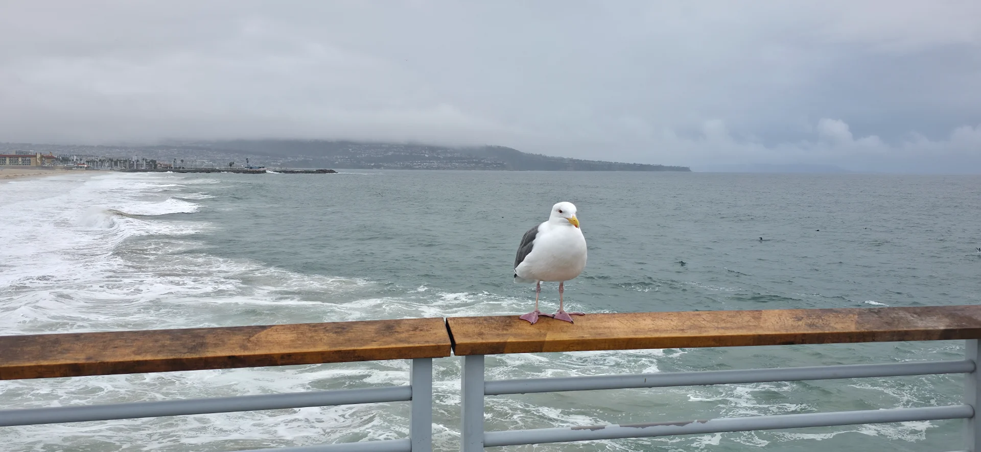Hermosa Beach Pier