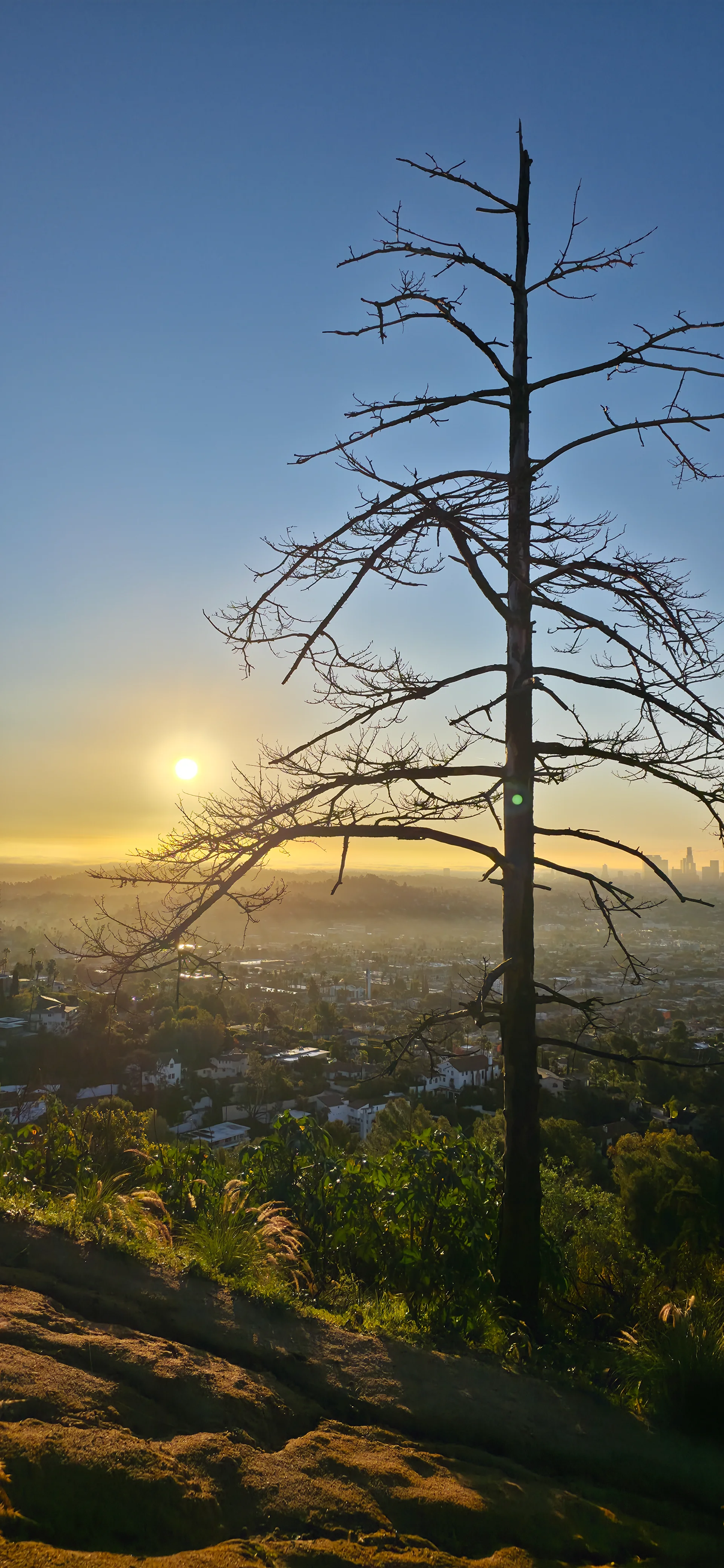 Griffith Observatory