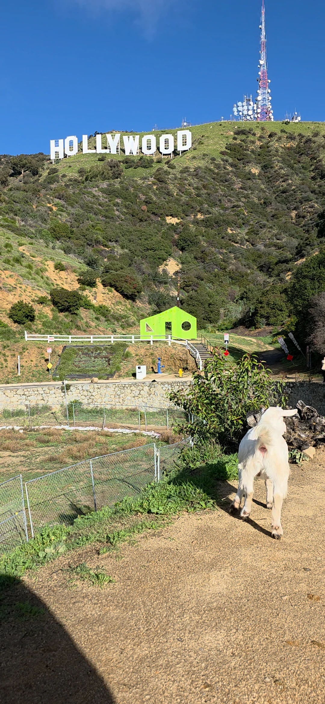 Hollywood Sign