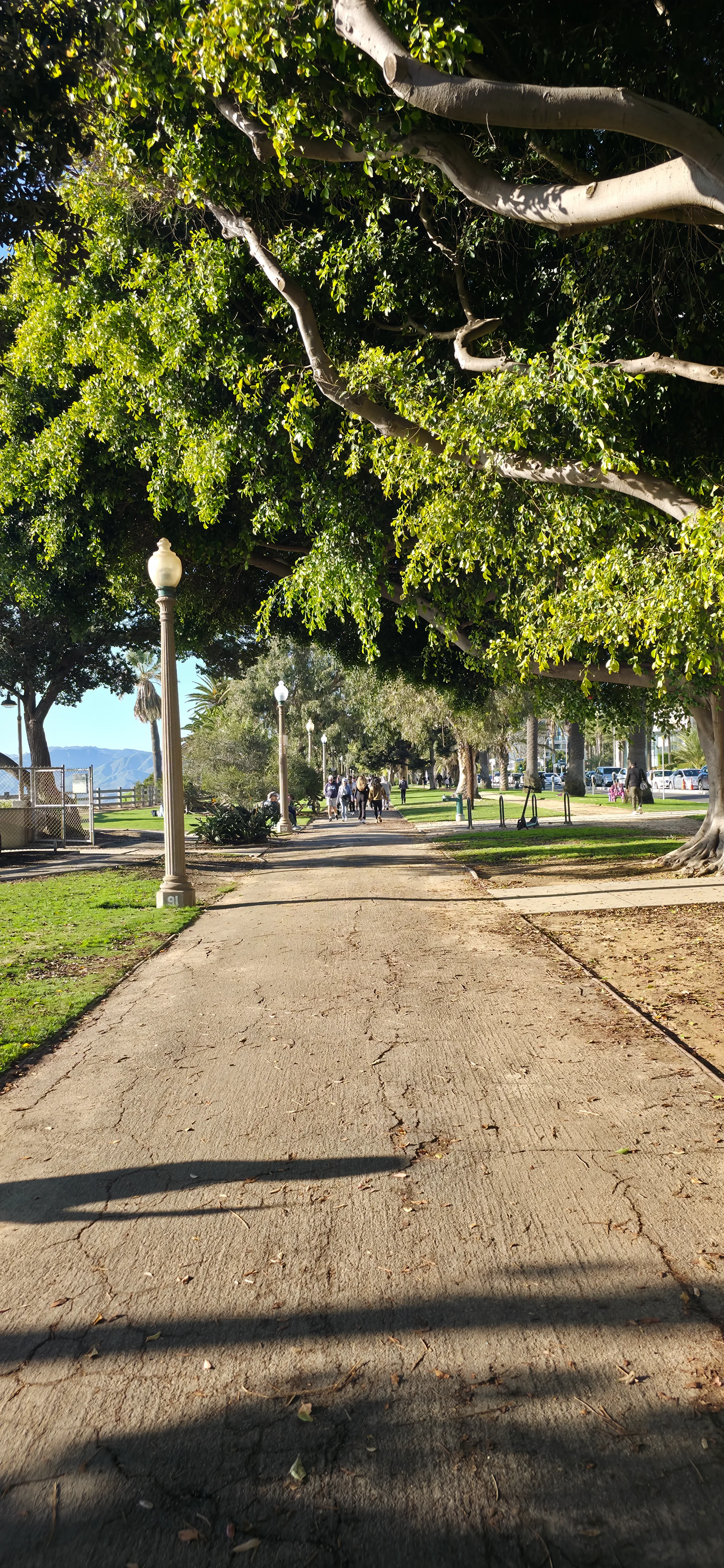Santa Monica Beach