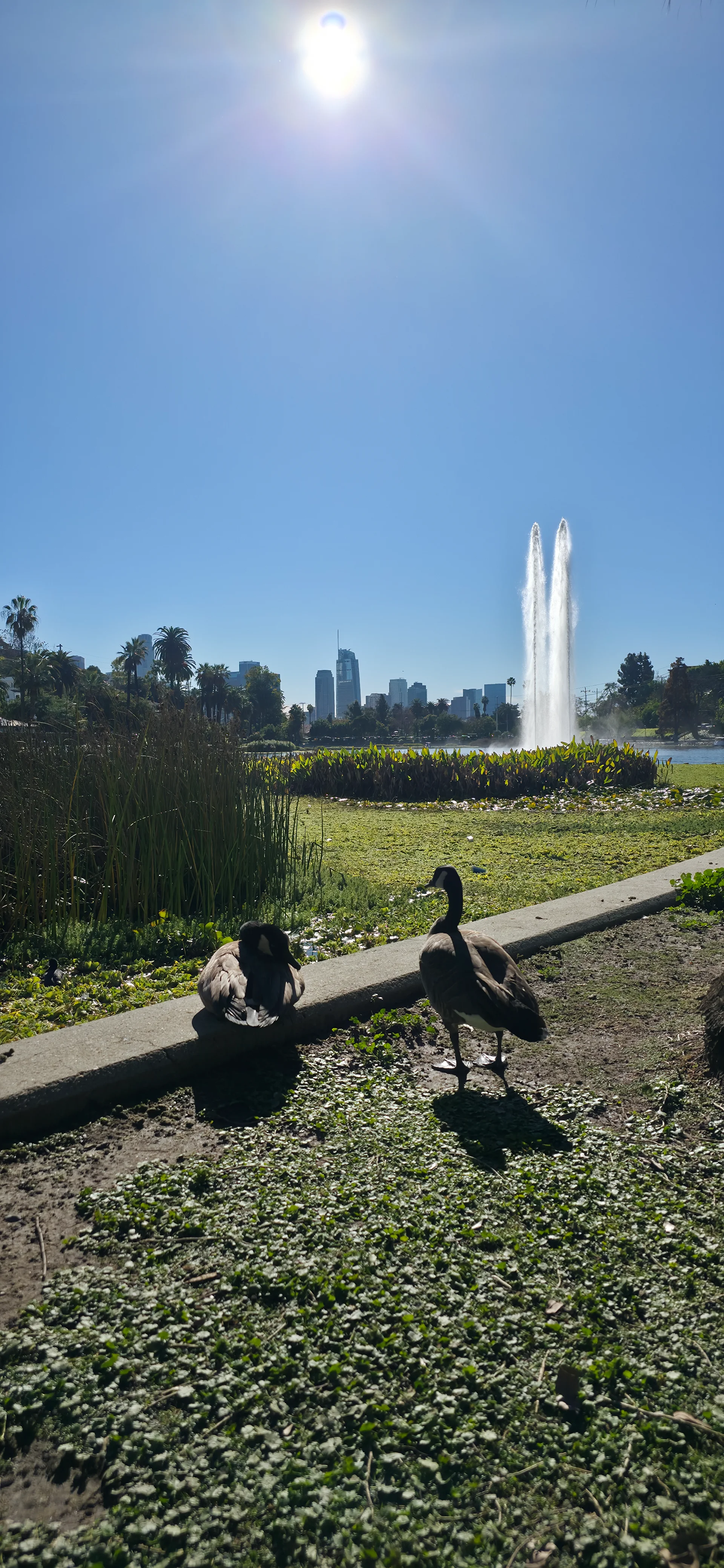 Lake Echo Park