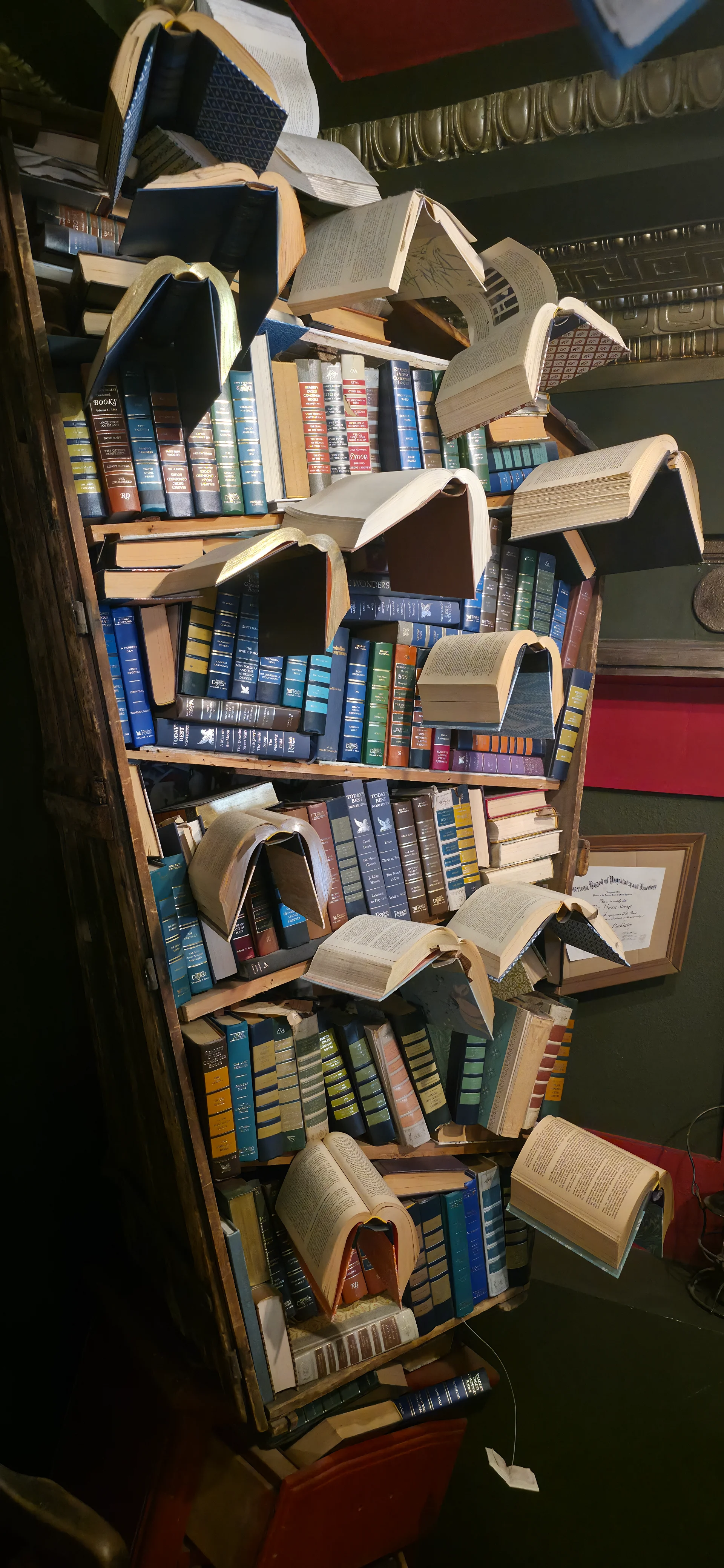 The Last Bookstore