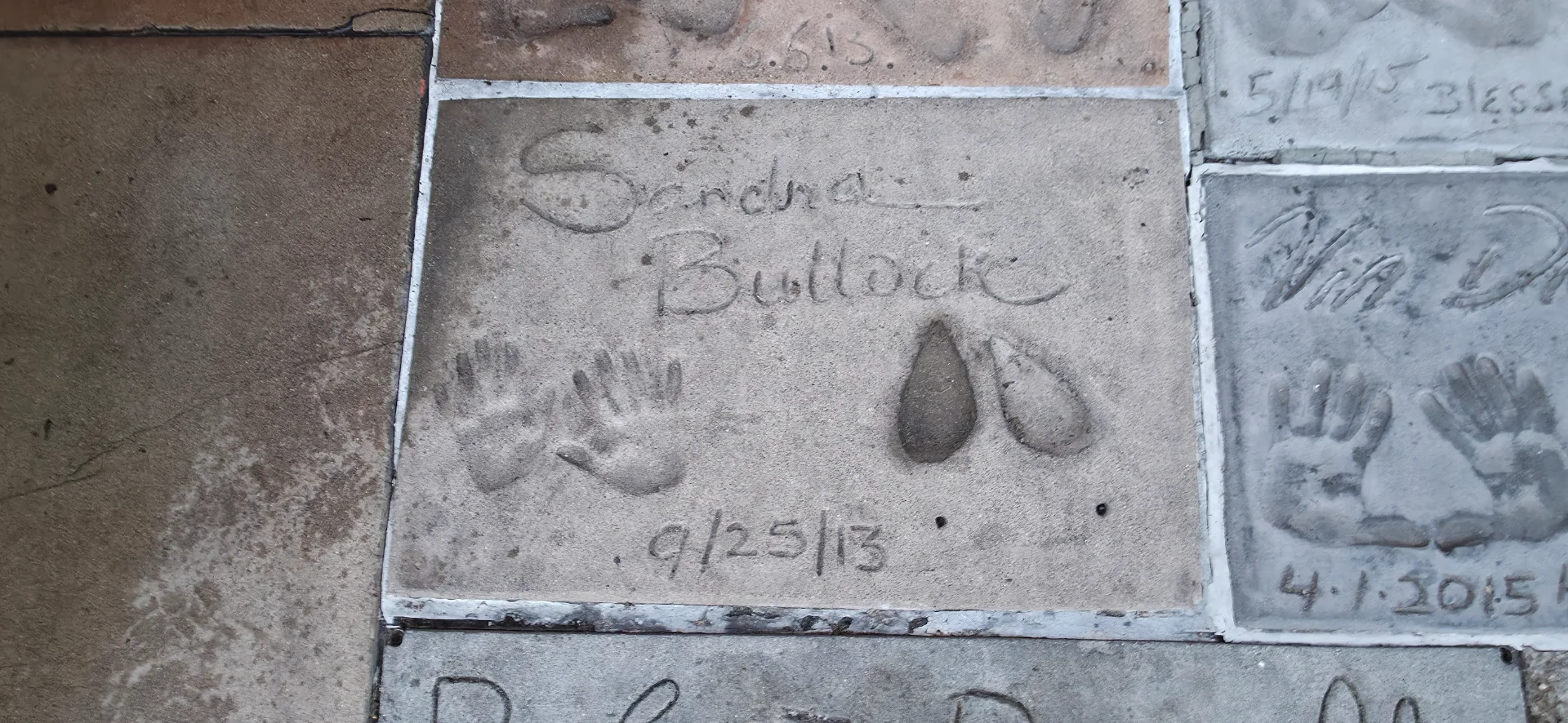 Sandra Bullock
