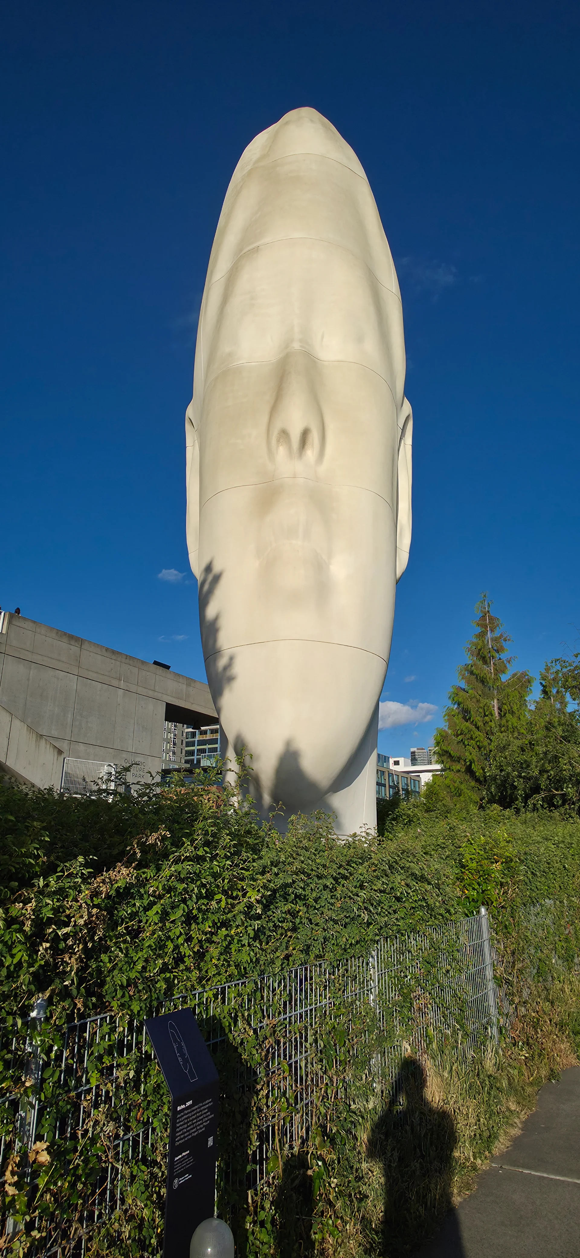 Olympic Sculpture Park