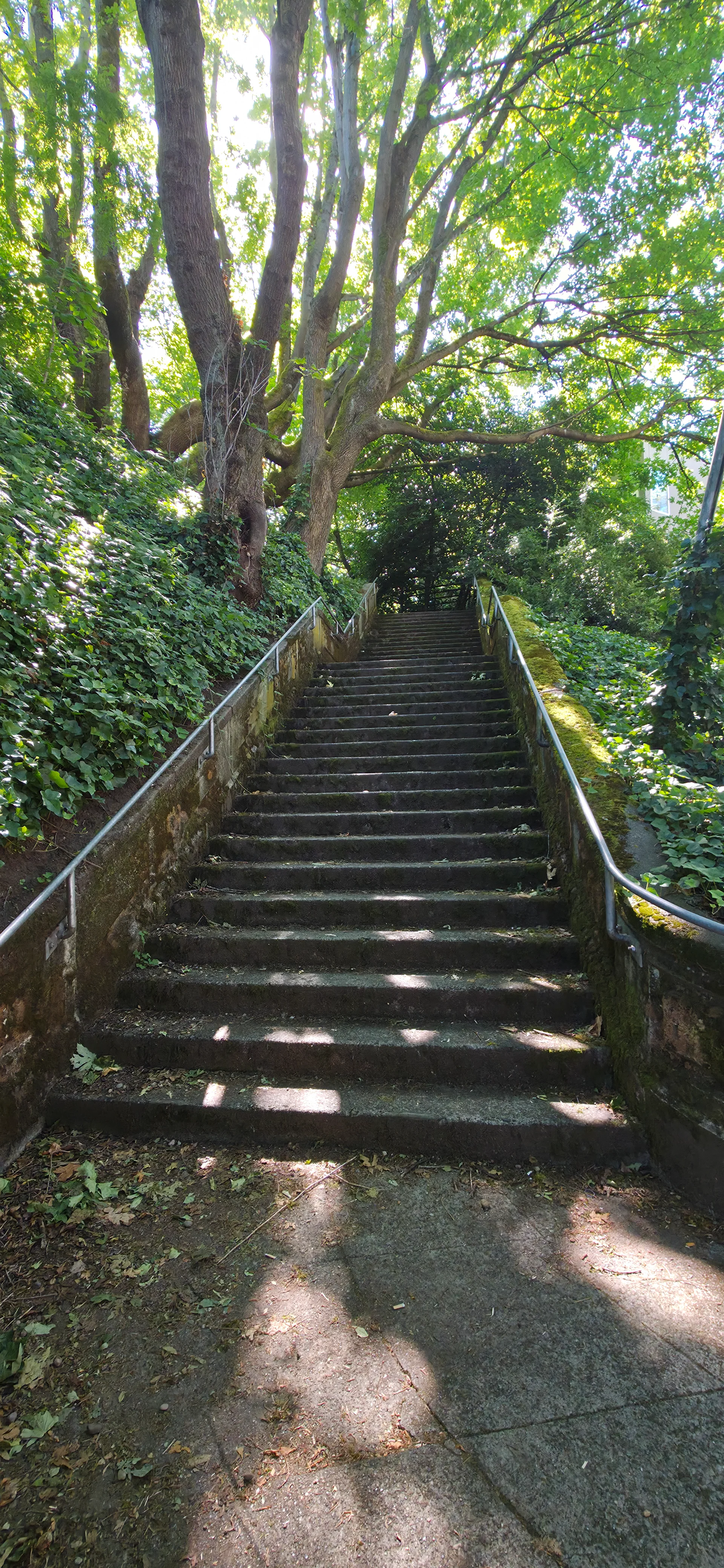 Comstock Kissing Stairs