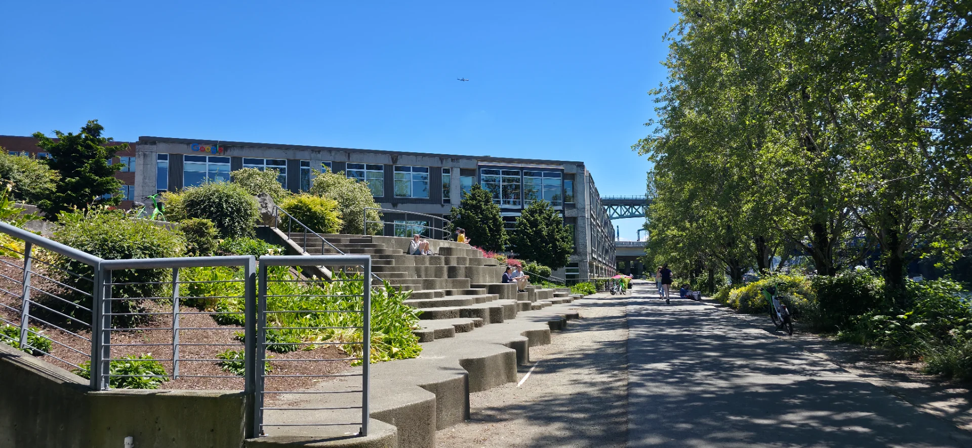 Google Park View