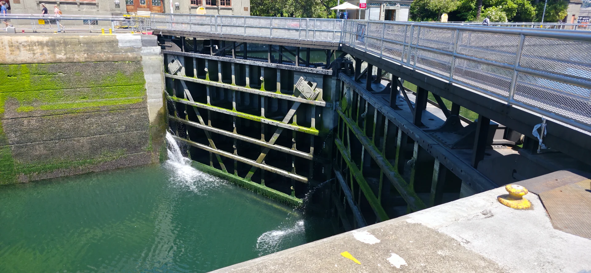 Ballard Locks
