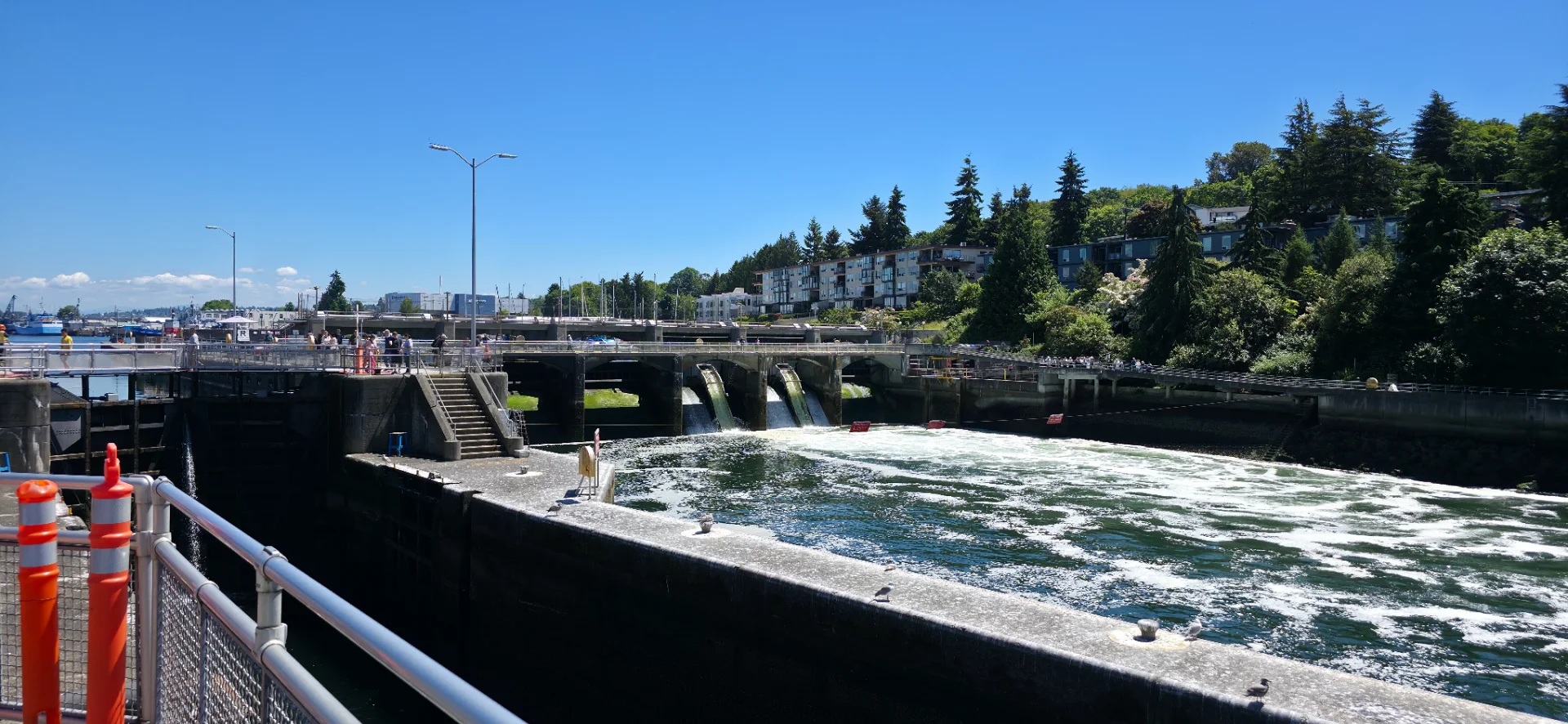 Ballard Locks