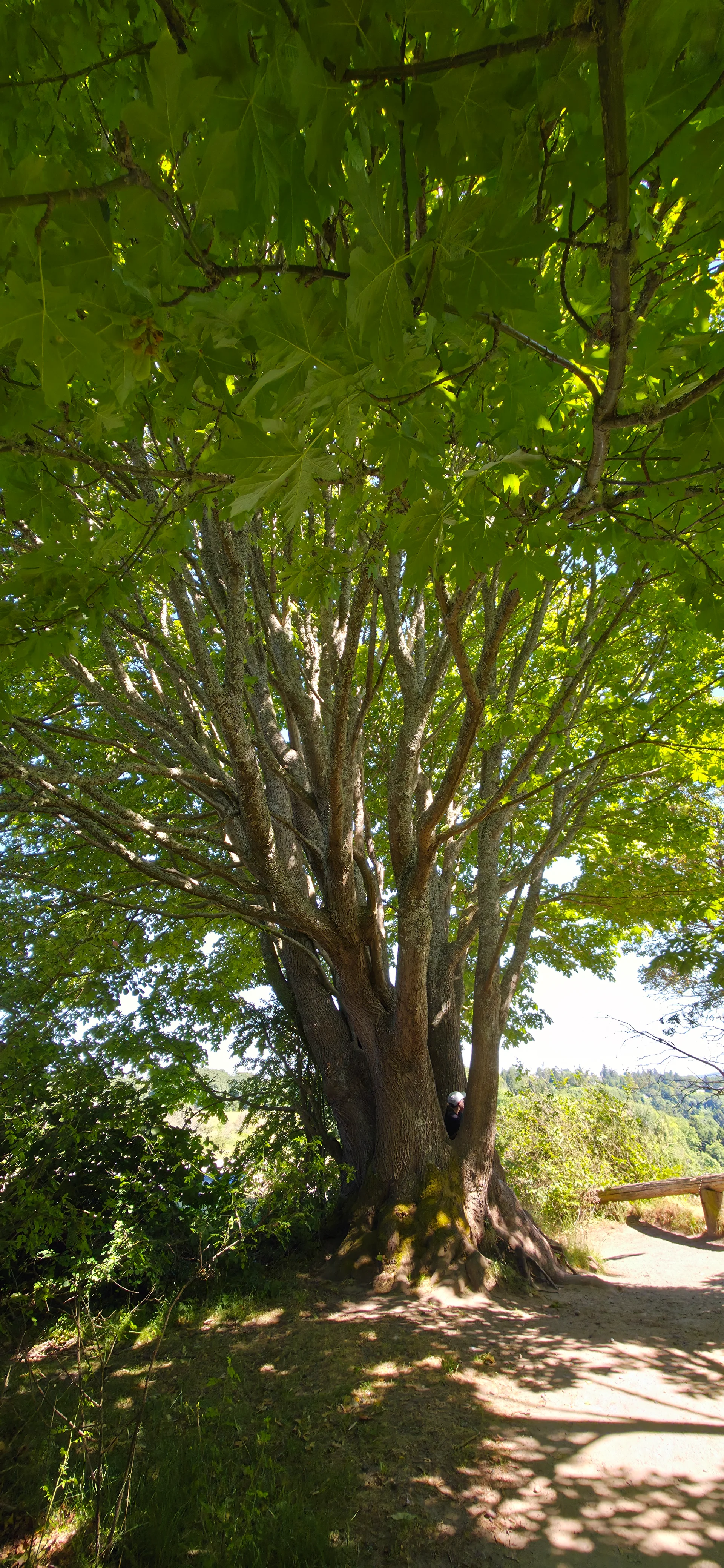 Discovery Park