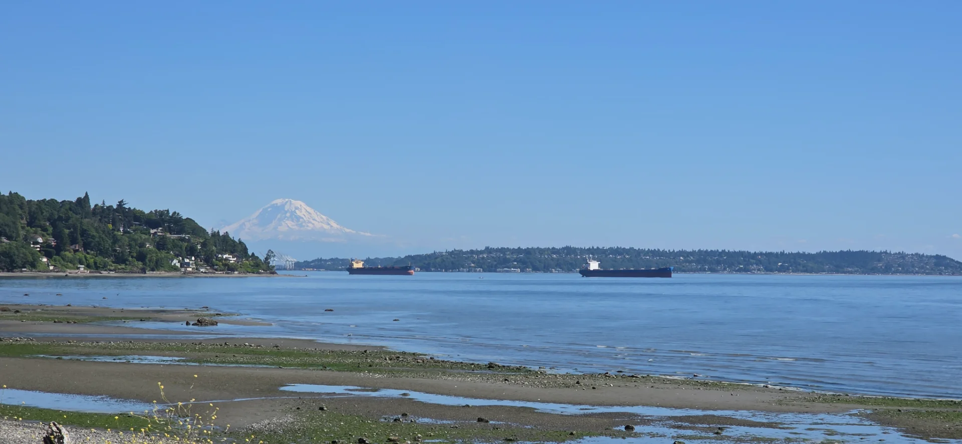 Discovery Park