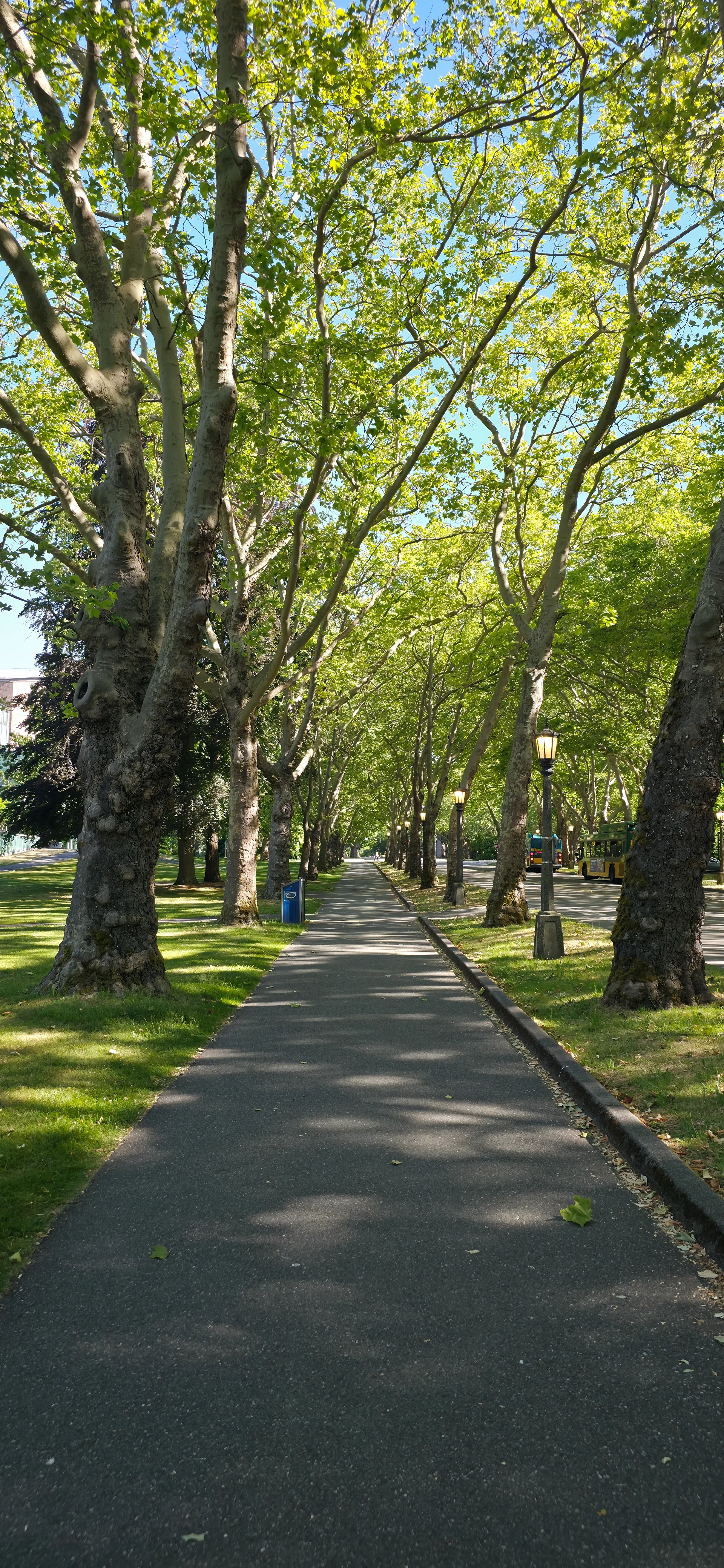 University of Washington