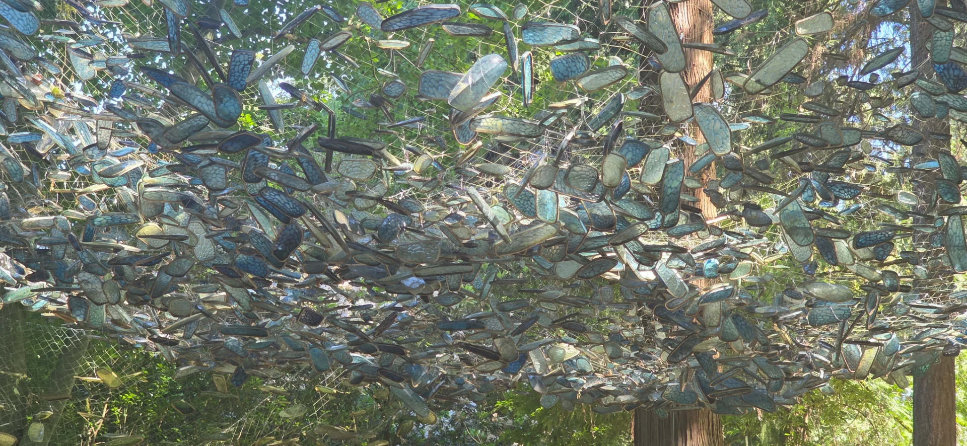 Washington Park Arboretum