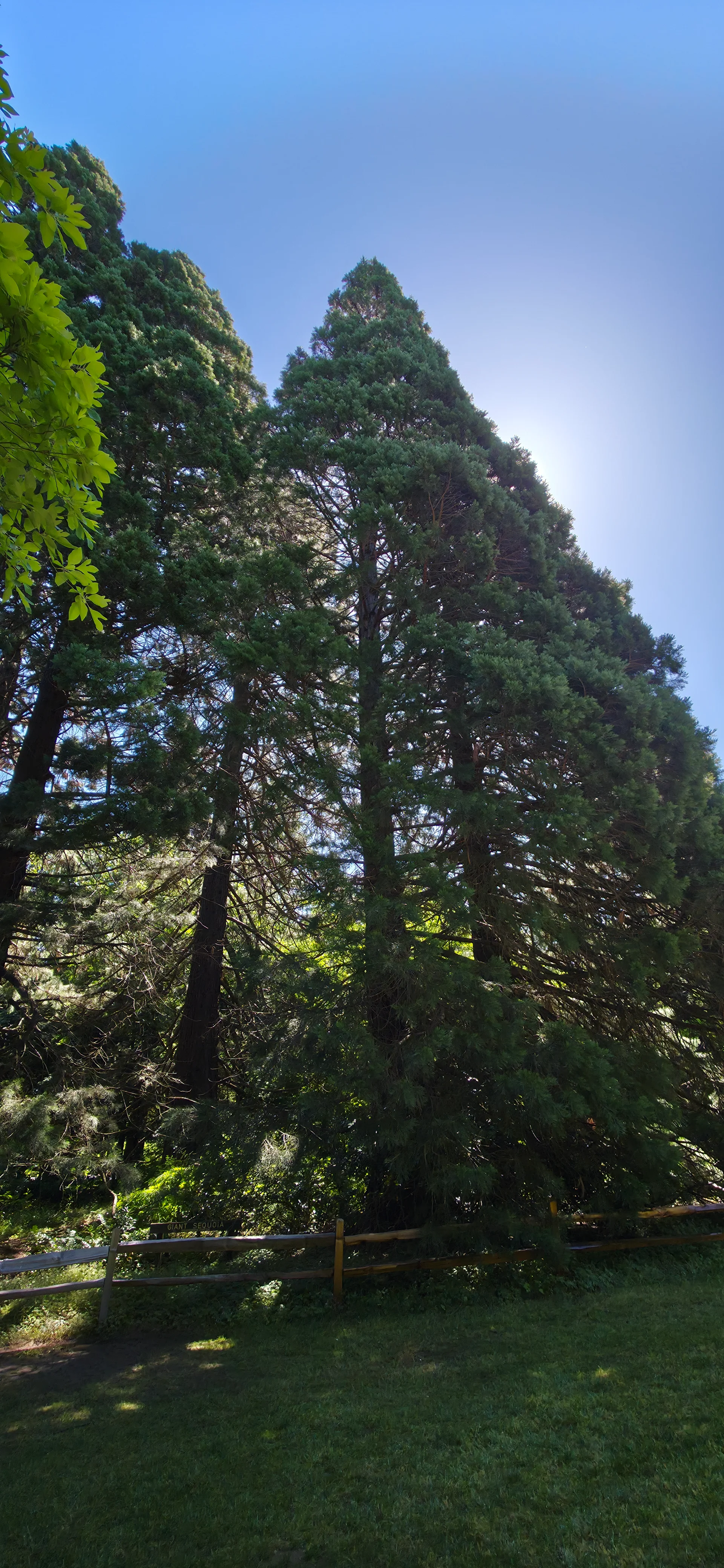 Washington Park Arboretum