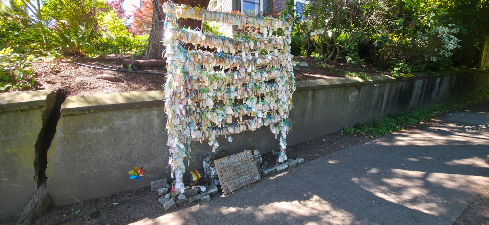 Capitol Hill Wishing Tree