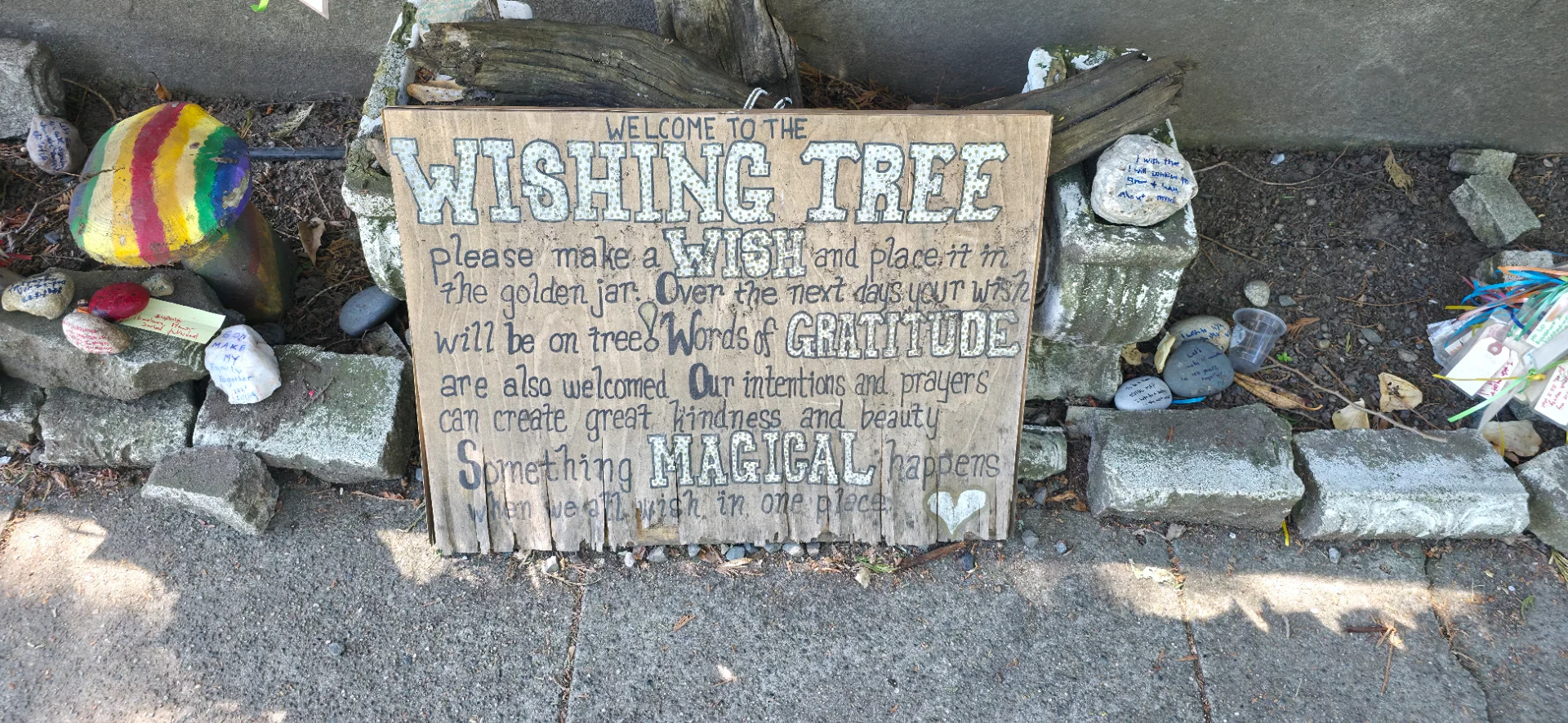 Capitol Hill Wishing Tree