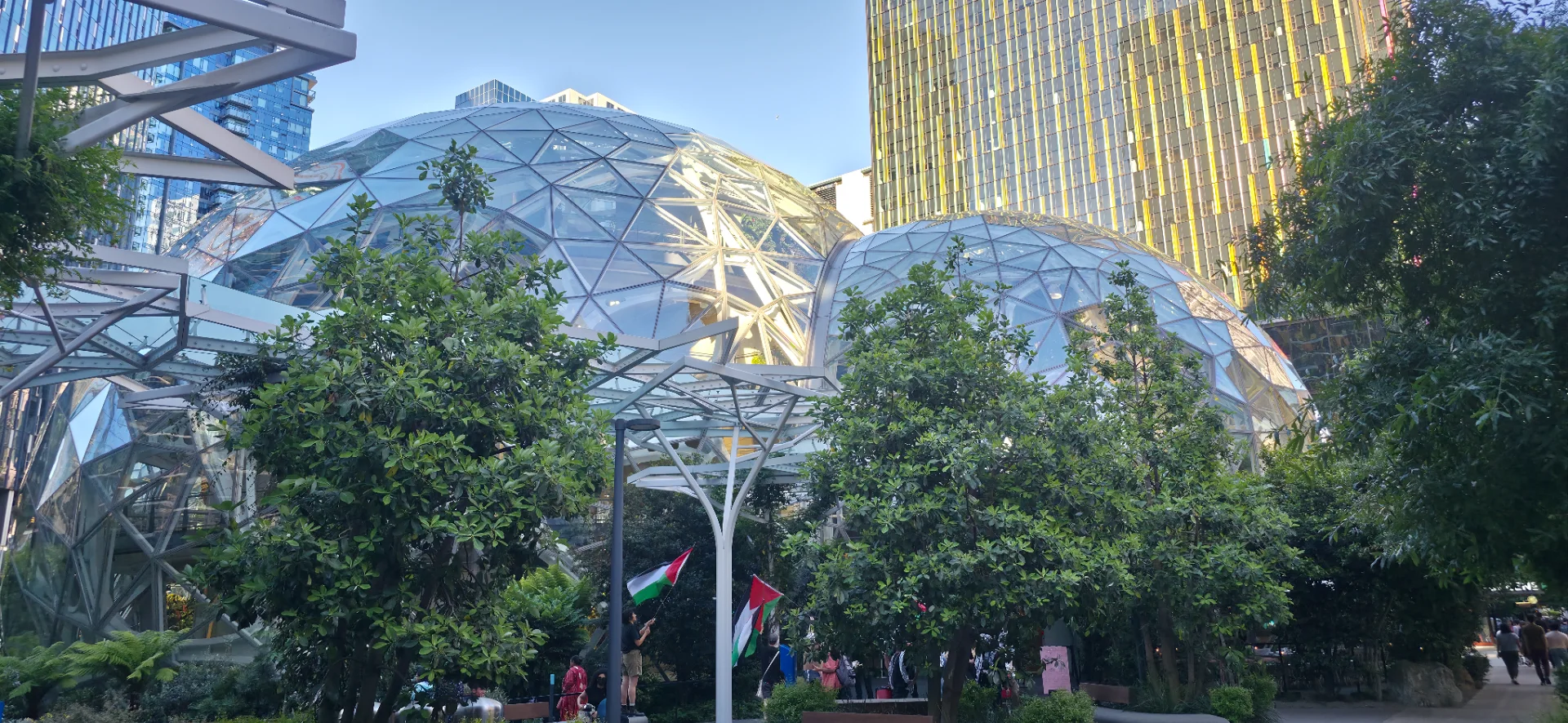 The Spheres - Amazon Offices