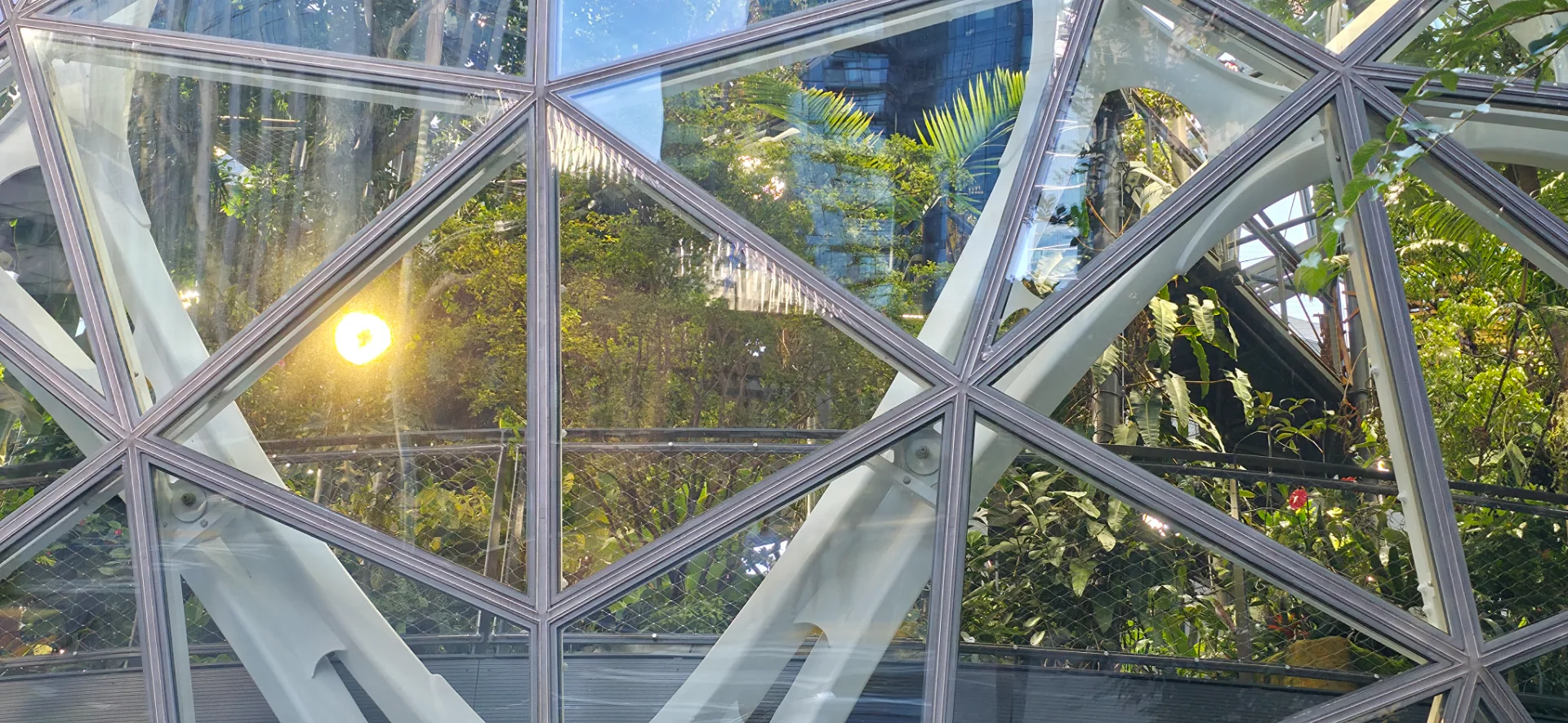 The Spheres - Amazon Offices