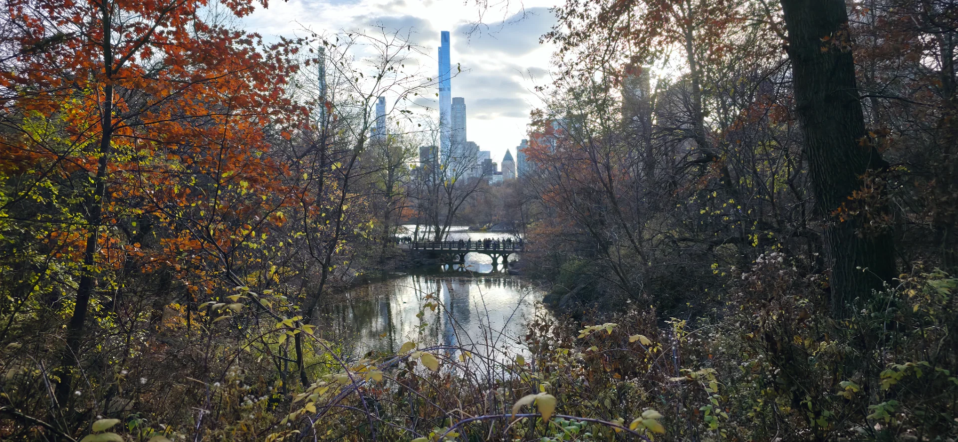 The Pond & Gapstow Bridge